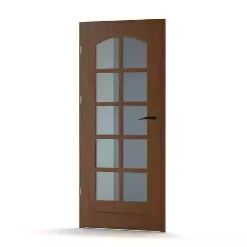 Modern Glass Paneled Wood Door