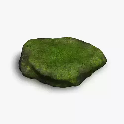 Rock 07 - Moss