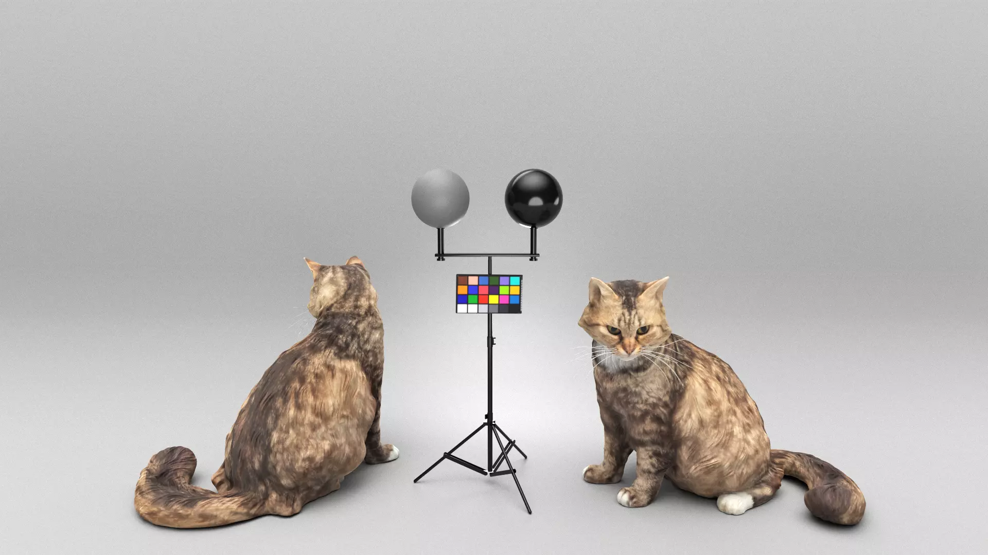 Fluffy cat 28 Low-poly 3D model