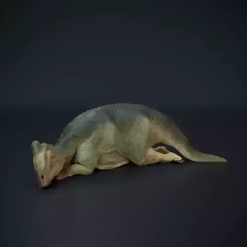 Parasaurolophus baby sleeping