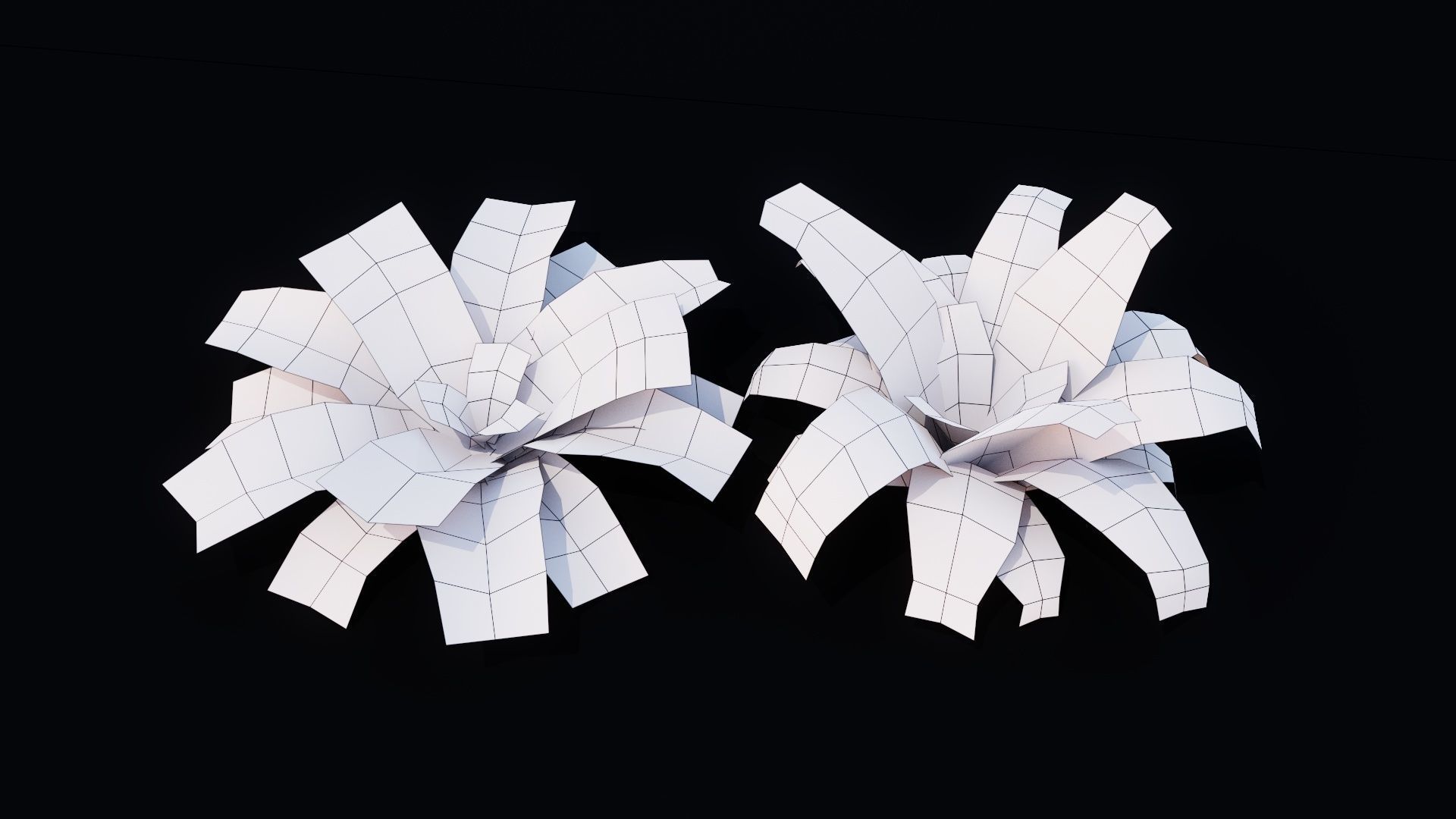 Bird Nest Fern Plant Low-poly 3D model_6