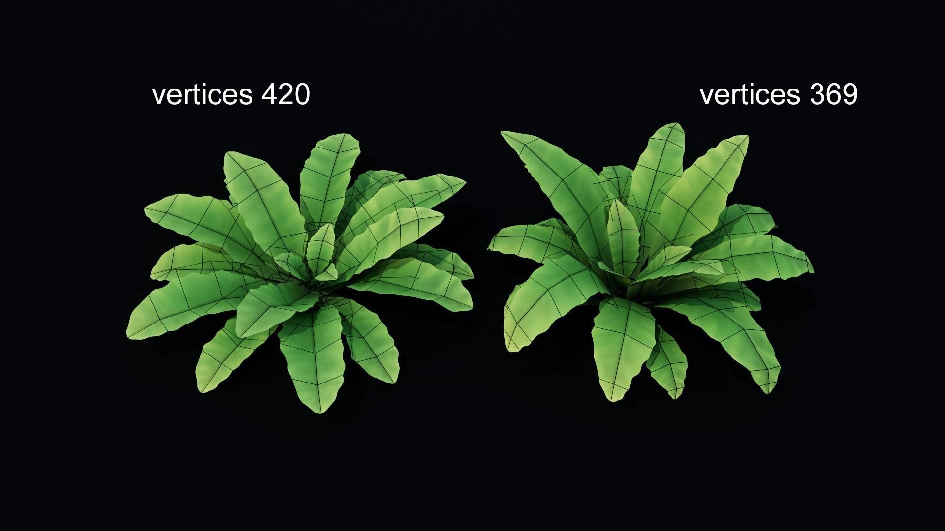 Bird Nest Fern Plant Low-poly 3D model_5