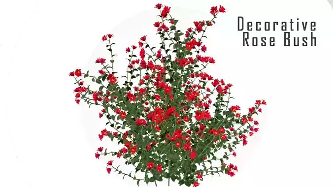 Decorative Rose Bush Low-poly 3D model