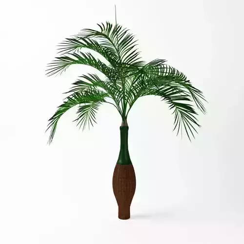 Green Leaf Plant Inside A Brown Vase