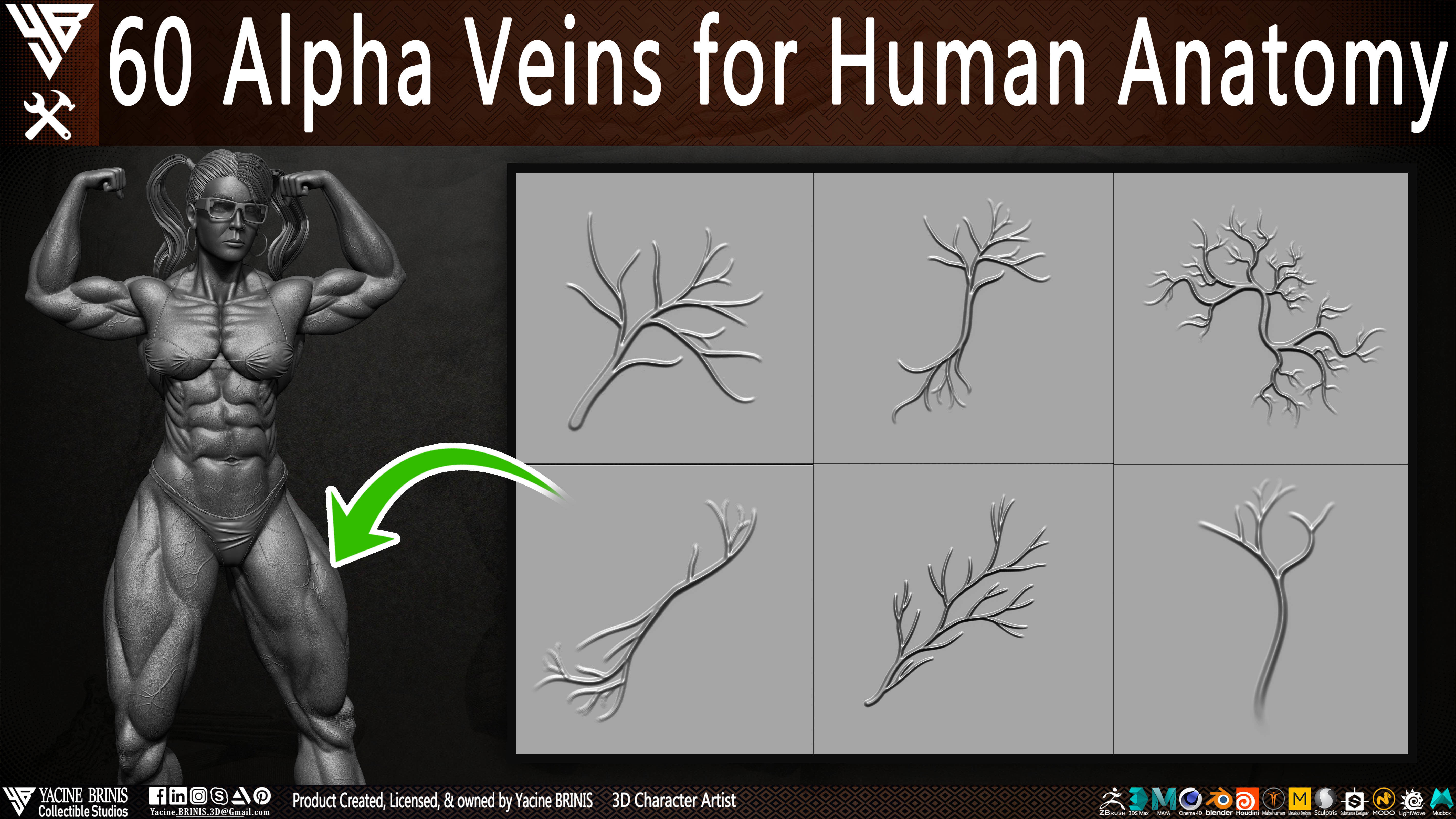 60 Alpha Veins for Human Anatomy Low-poly 3D model_1