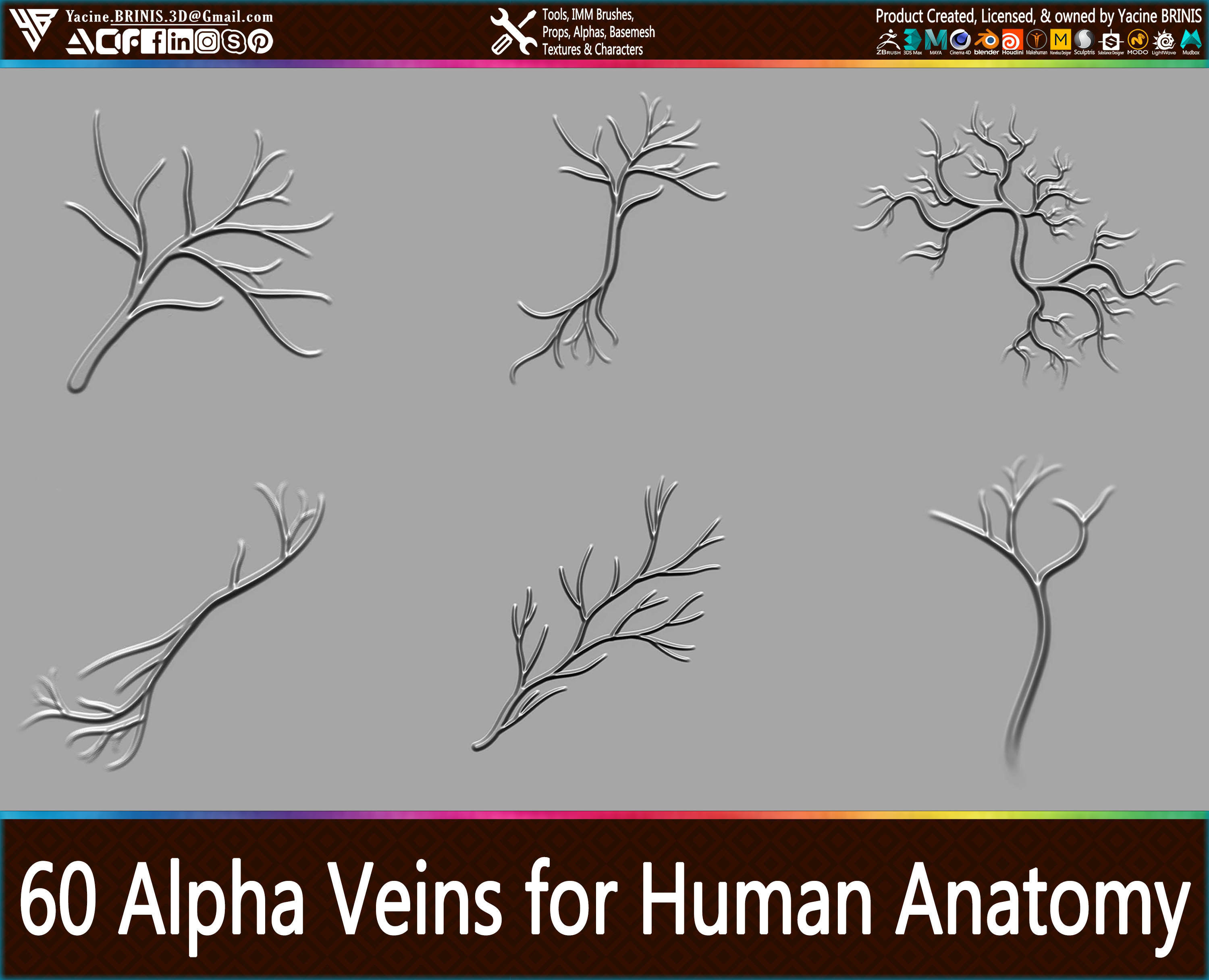 60 Alpha Veins for Human Anatomy Low-poly 3D model_2