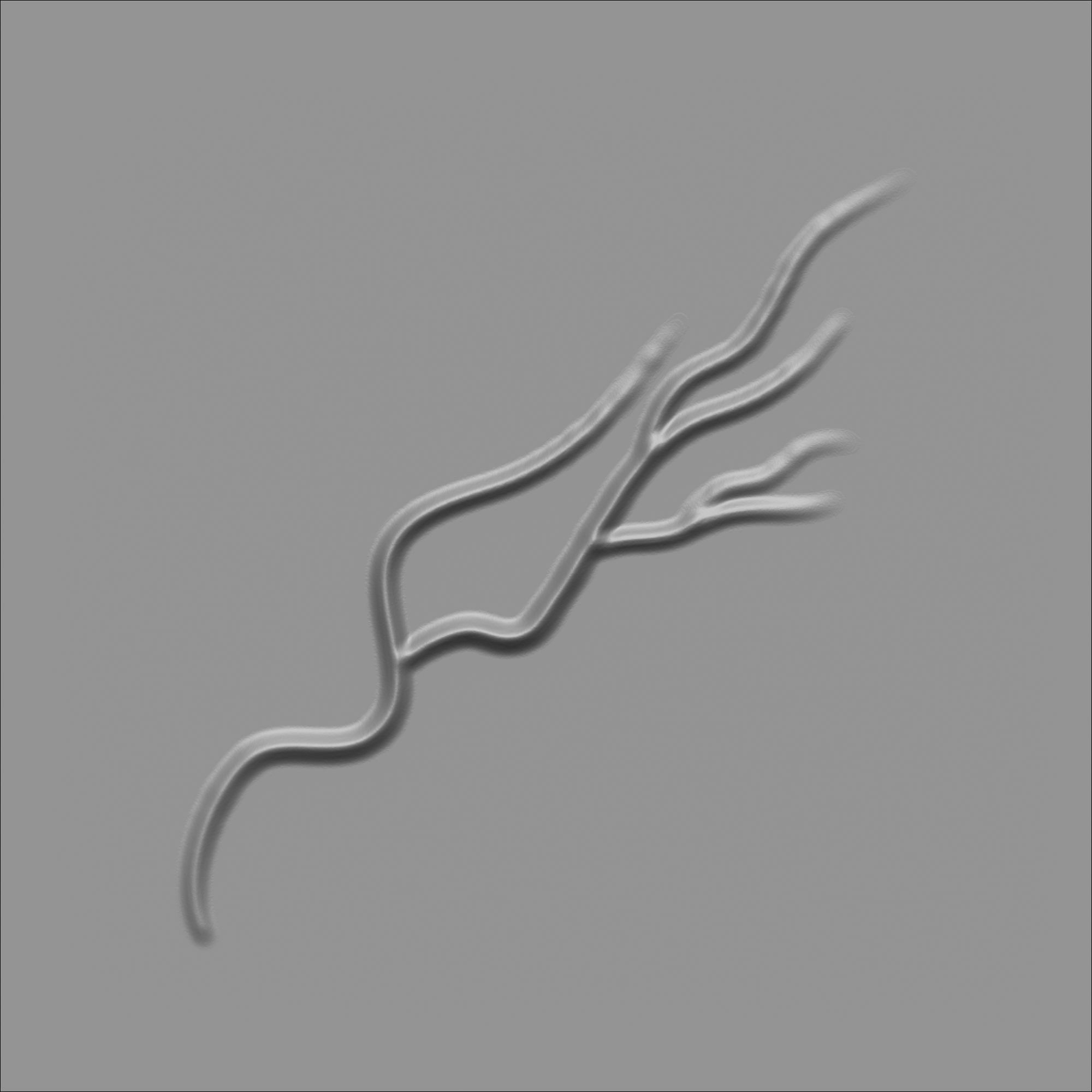 60 Alpha Veins for Human Anatomy Low-poly 3D model_34