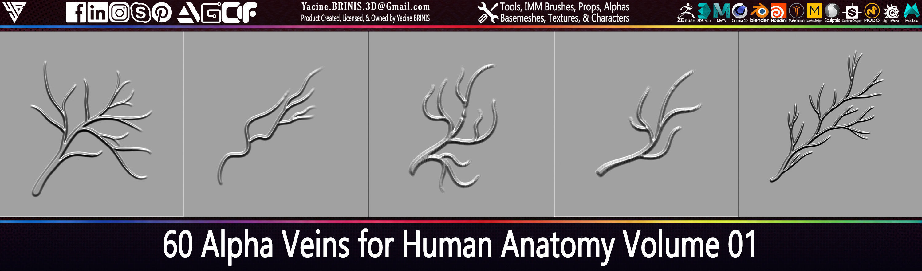 60 Alpha Veins for Human Anatomy Low-poly 3D model_3
