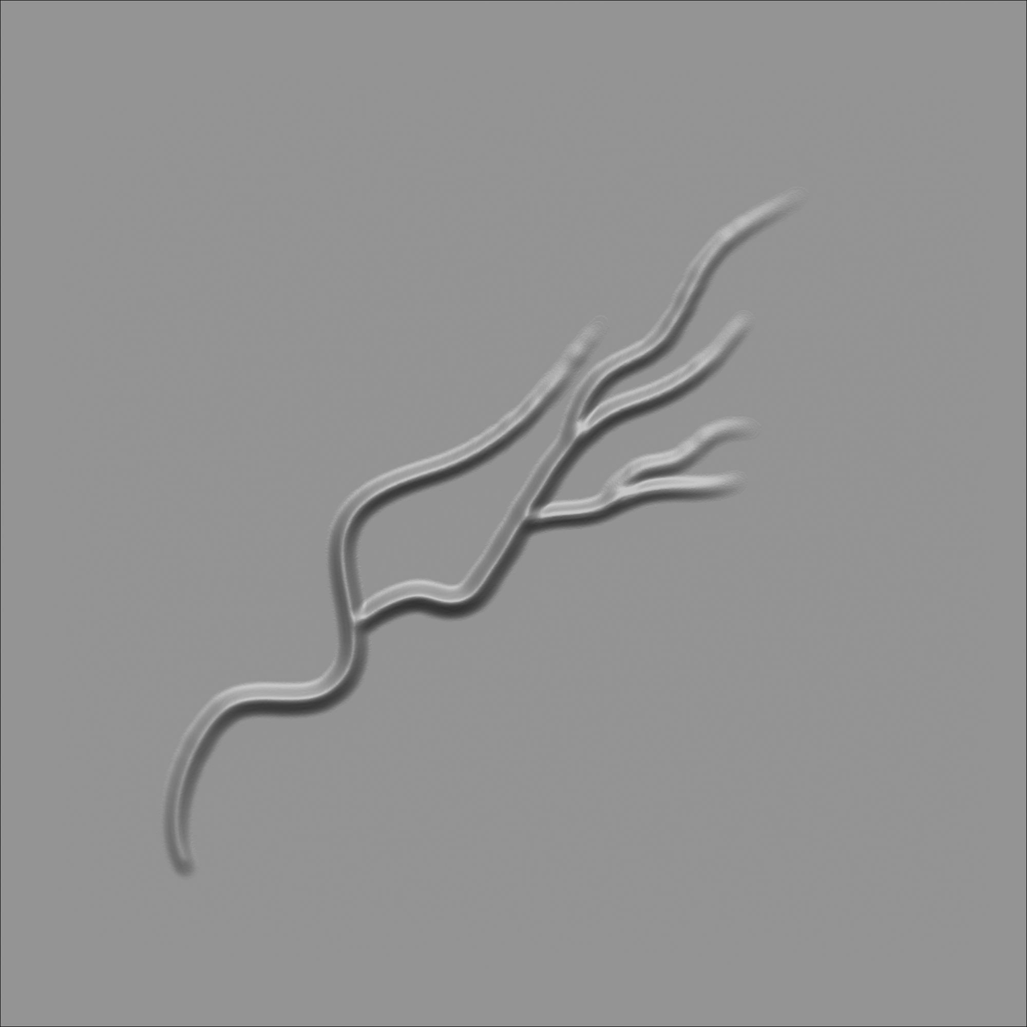 60 Alpha Veins for Human Anatomy Low-poly 3D model_33