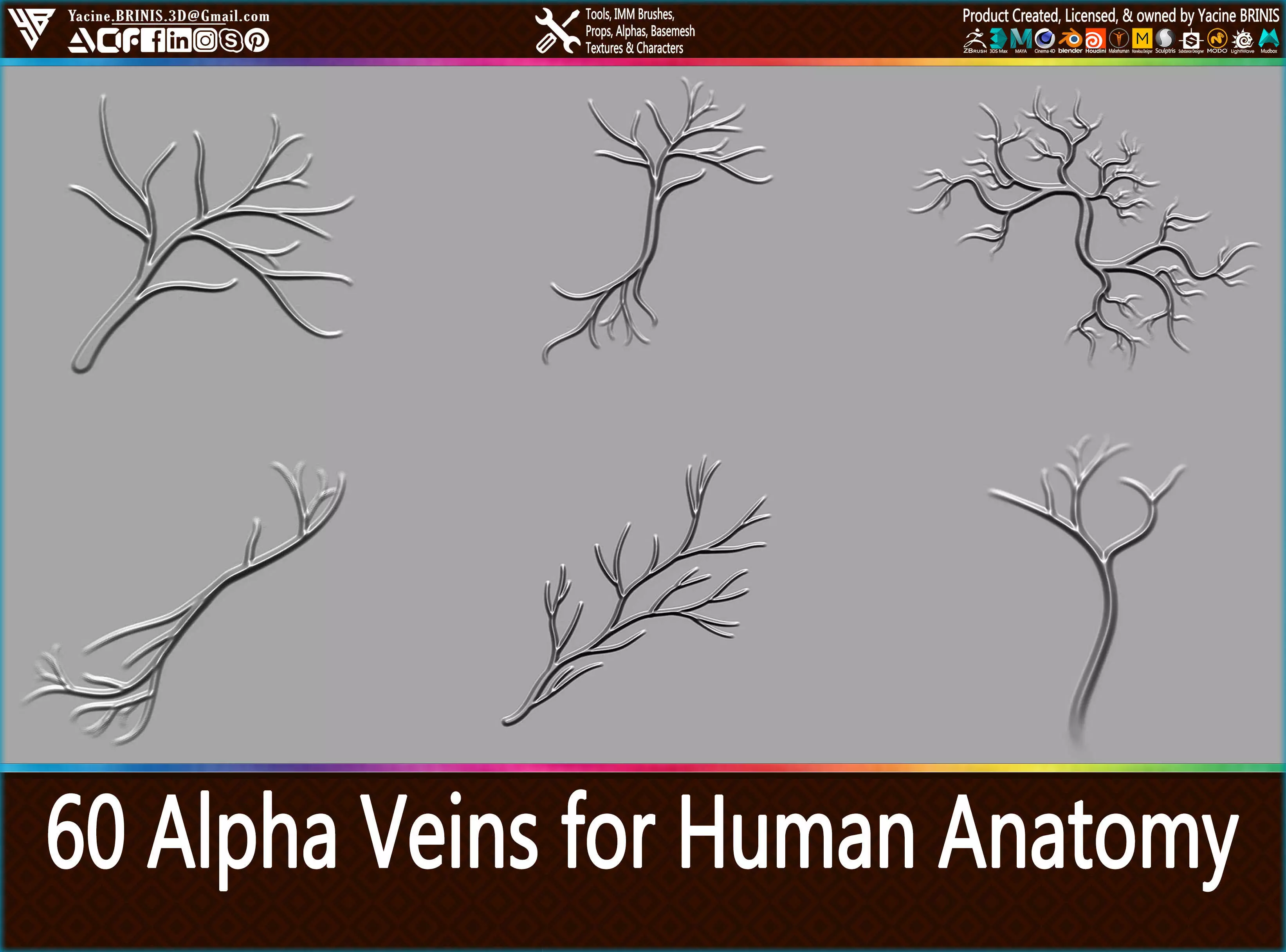 60 Alpha Veins for Human Anatomy Low-poly 3D model_0