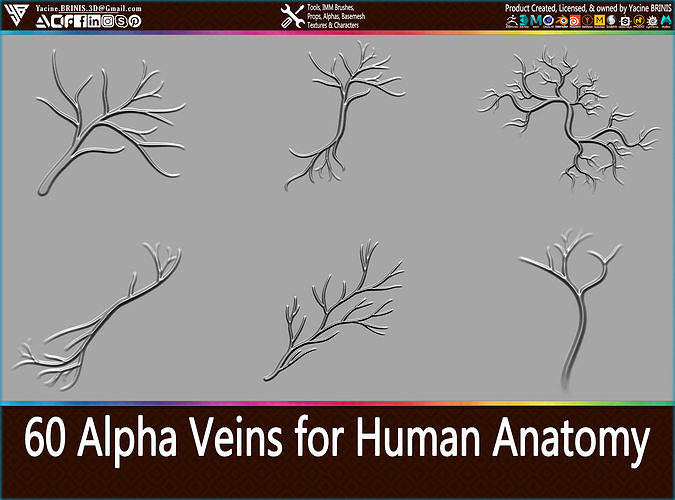 60 Alpha Veins for Human Anatomy Low-poly 3D model