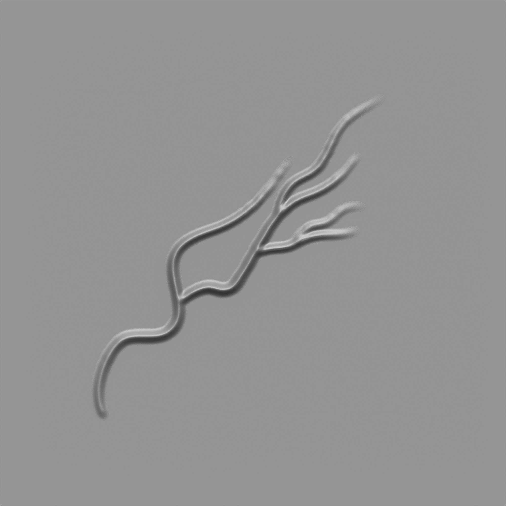 60 Alpha Veins for Human Anatomy Low-poly 3D model_5