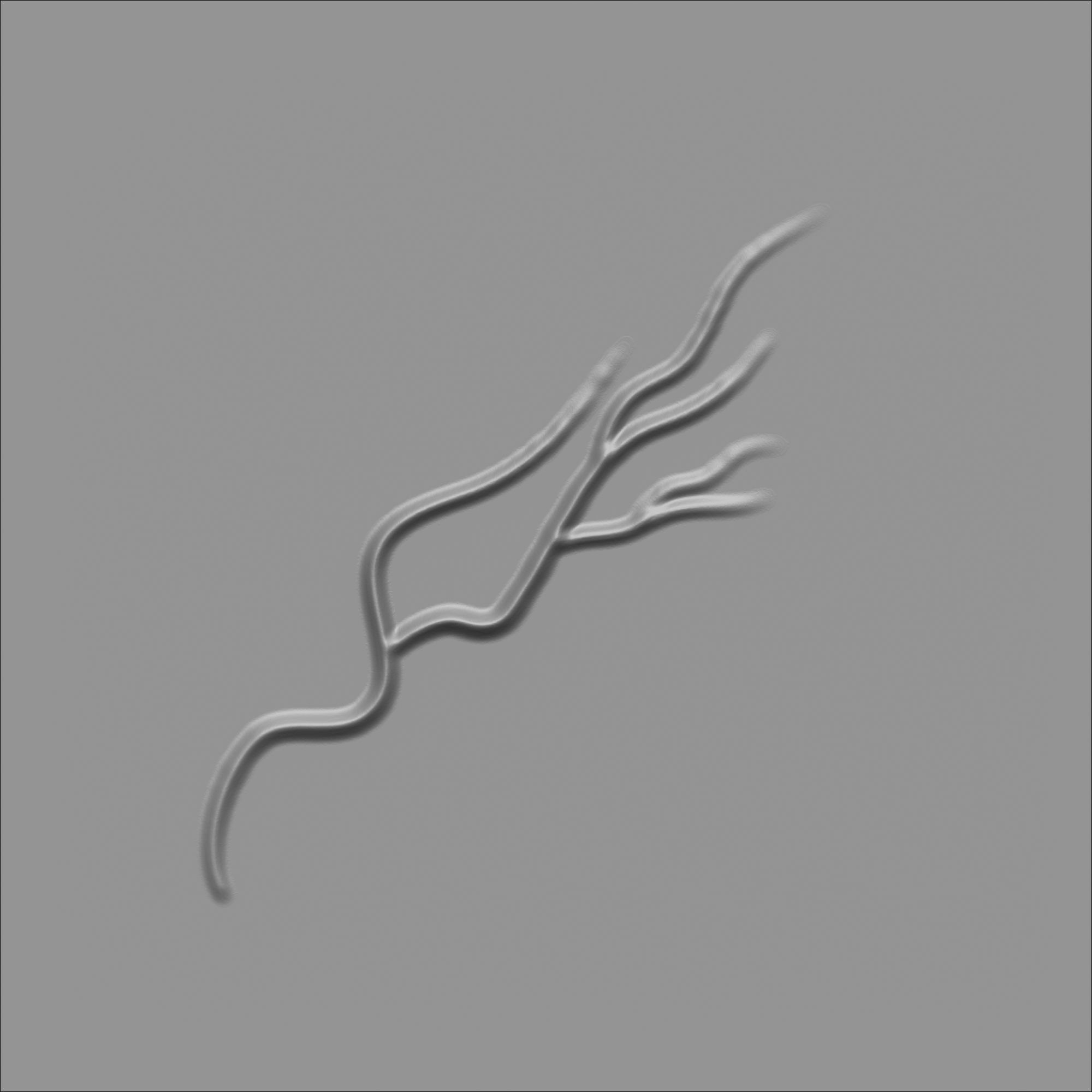 60 Alpha Veins for Human Anatomy Low-poly 3D model_32