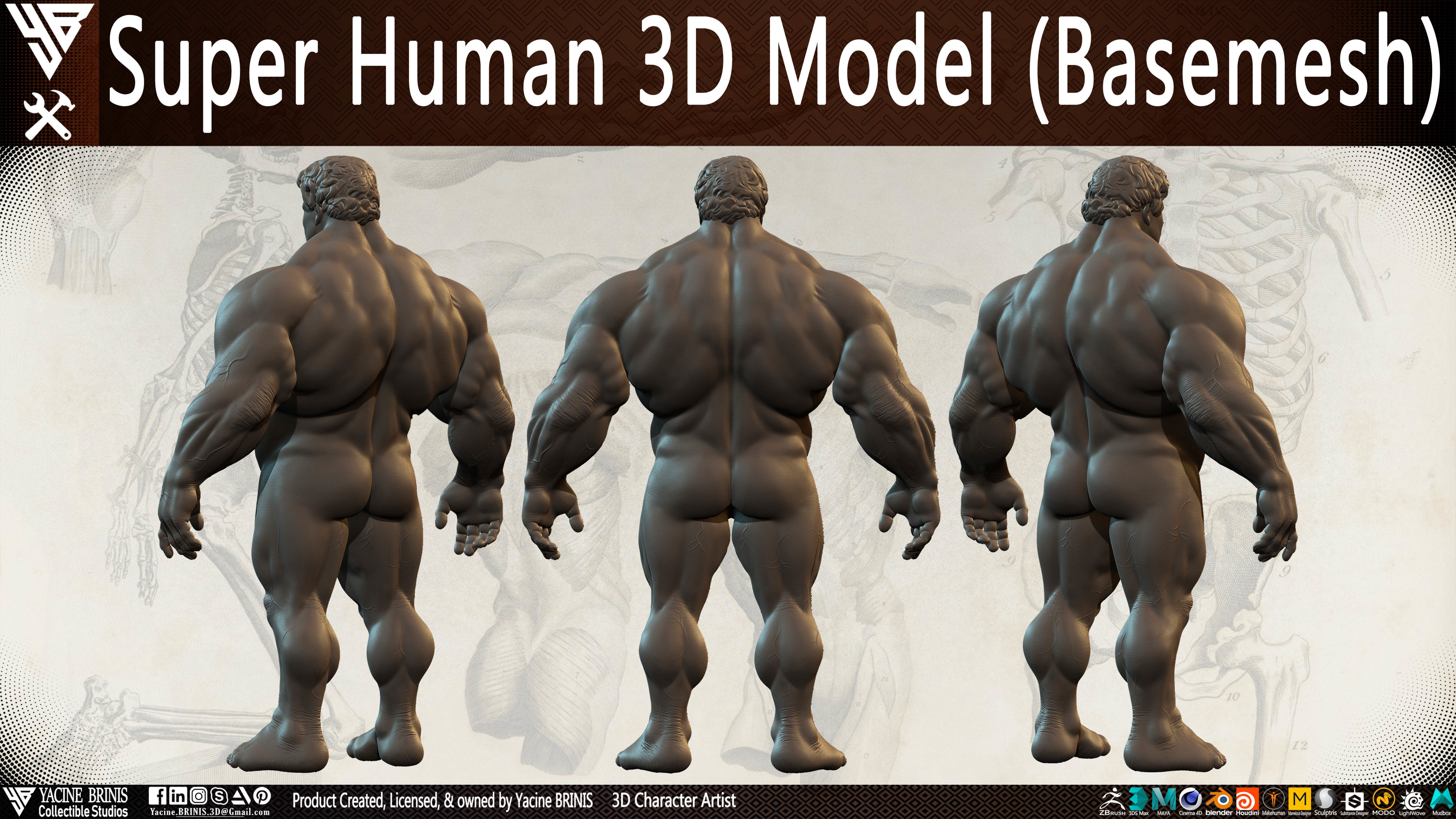 Super Human Base-mesh 3D Model Low-poly 3D model_19