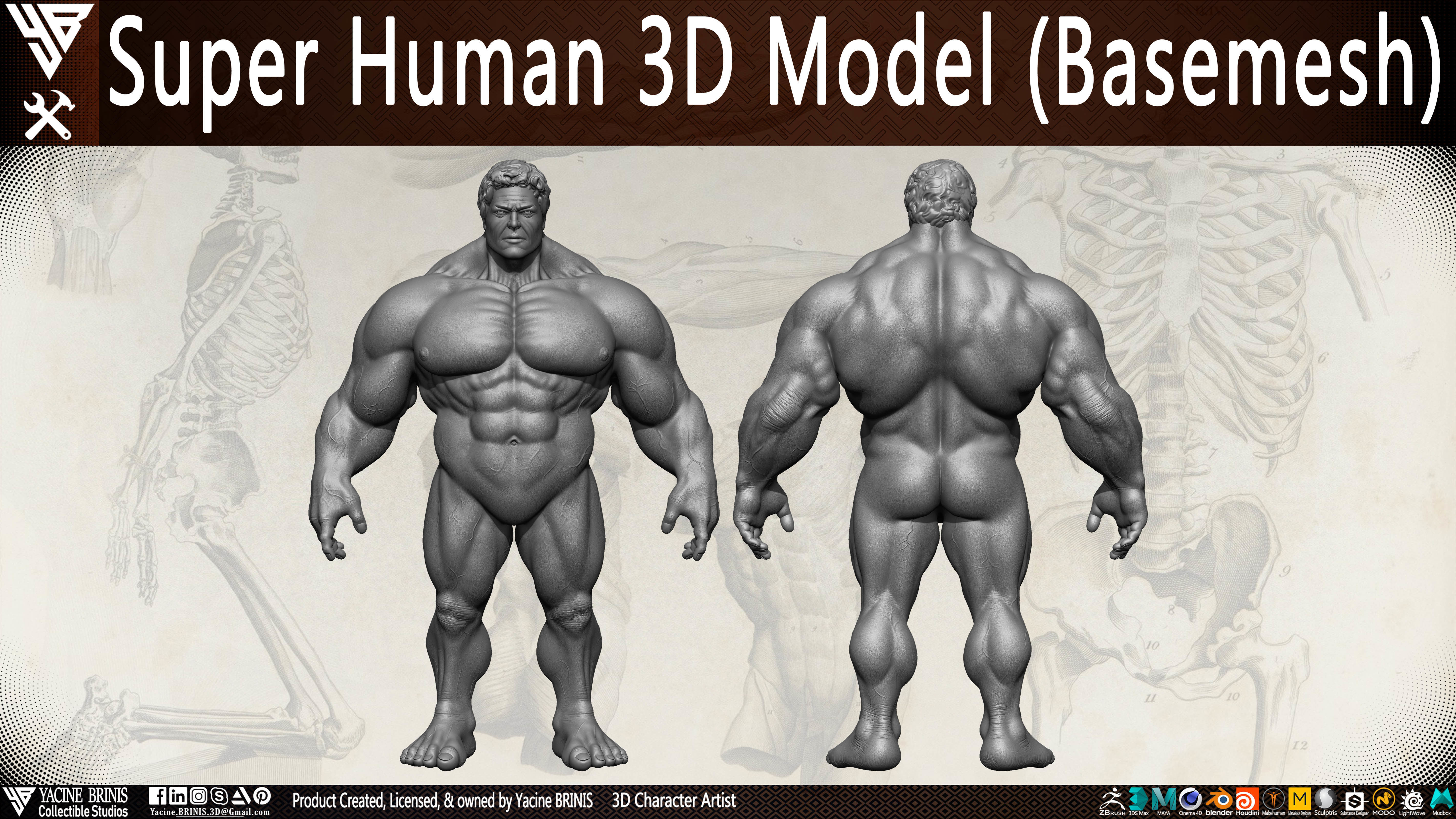Super Human Base-mesh 3D Model Low-poly 3D model_15