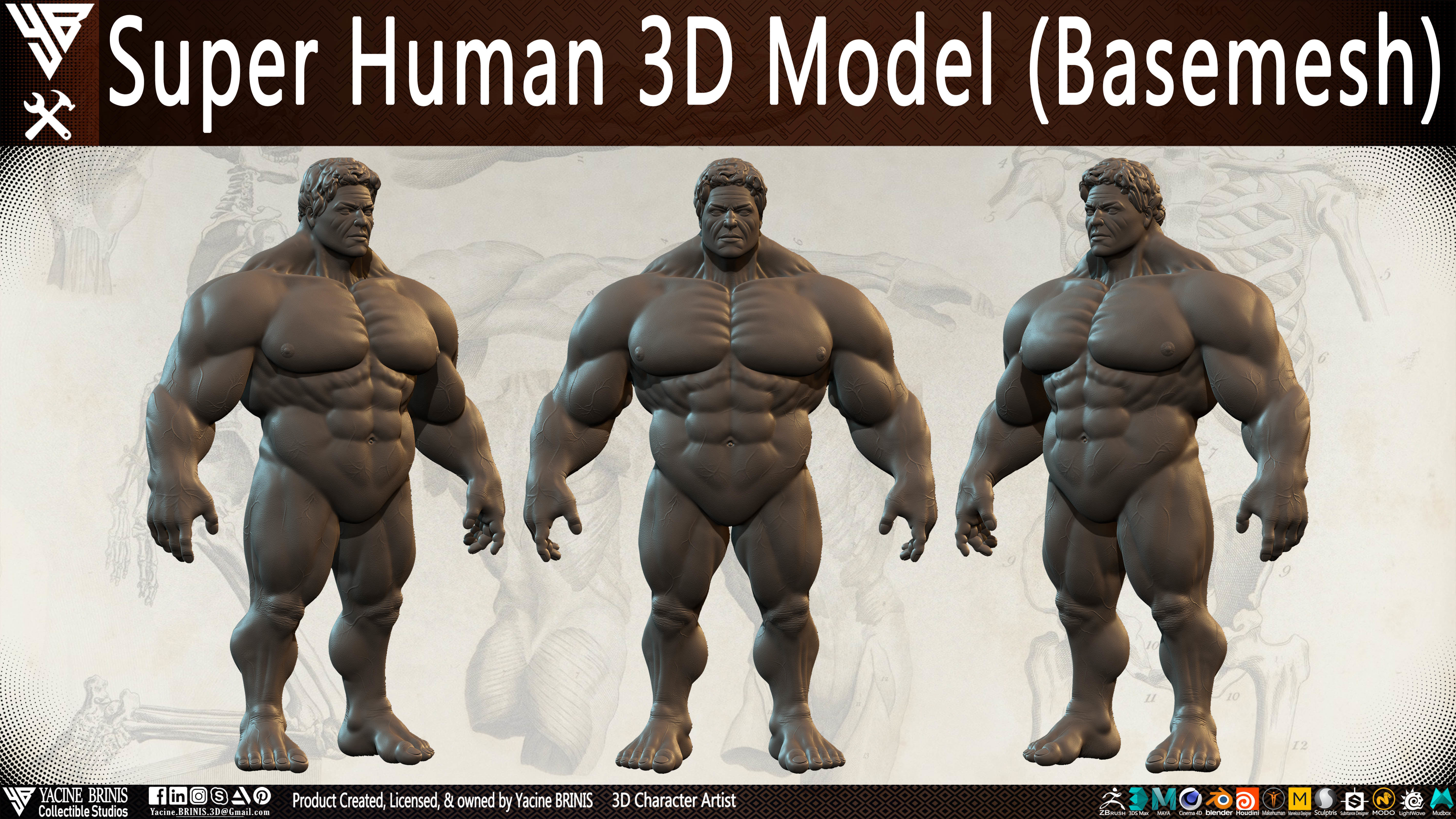 Super Human Base-mesh 3D Model Low-poly 3D model_18