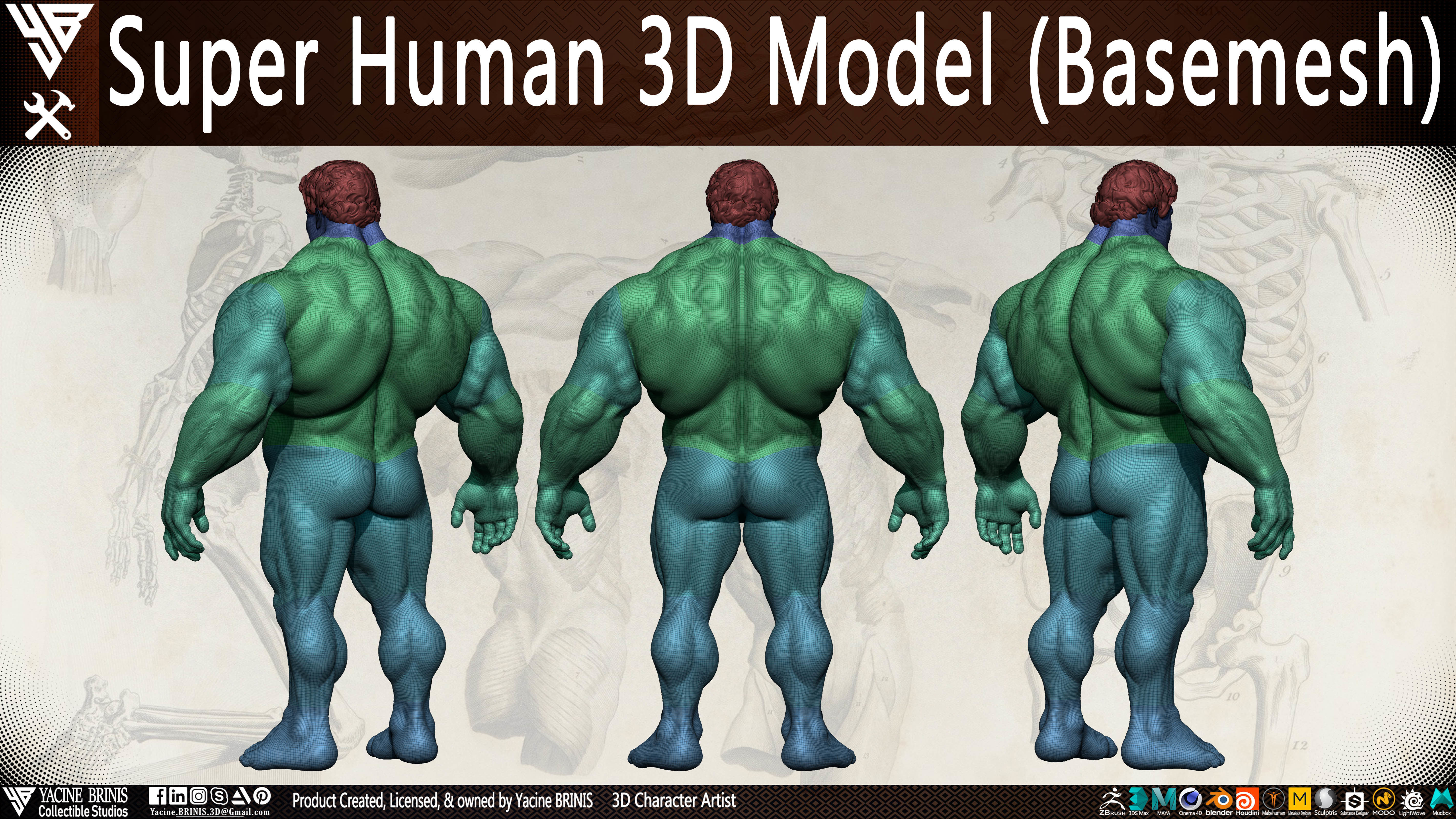 Super Human Base-mesh 3D Model Low-poly 3D model_16
