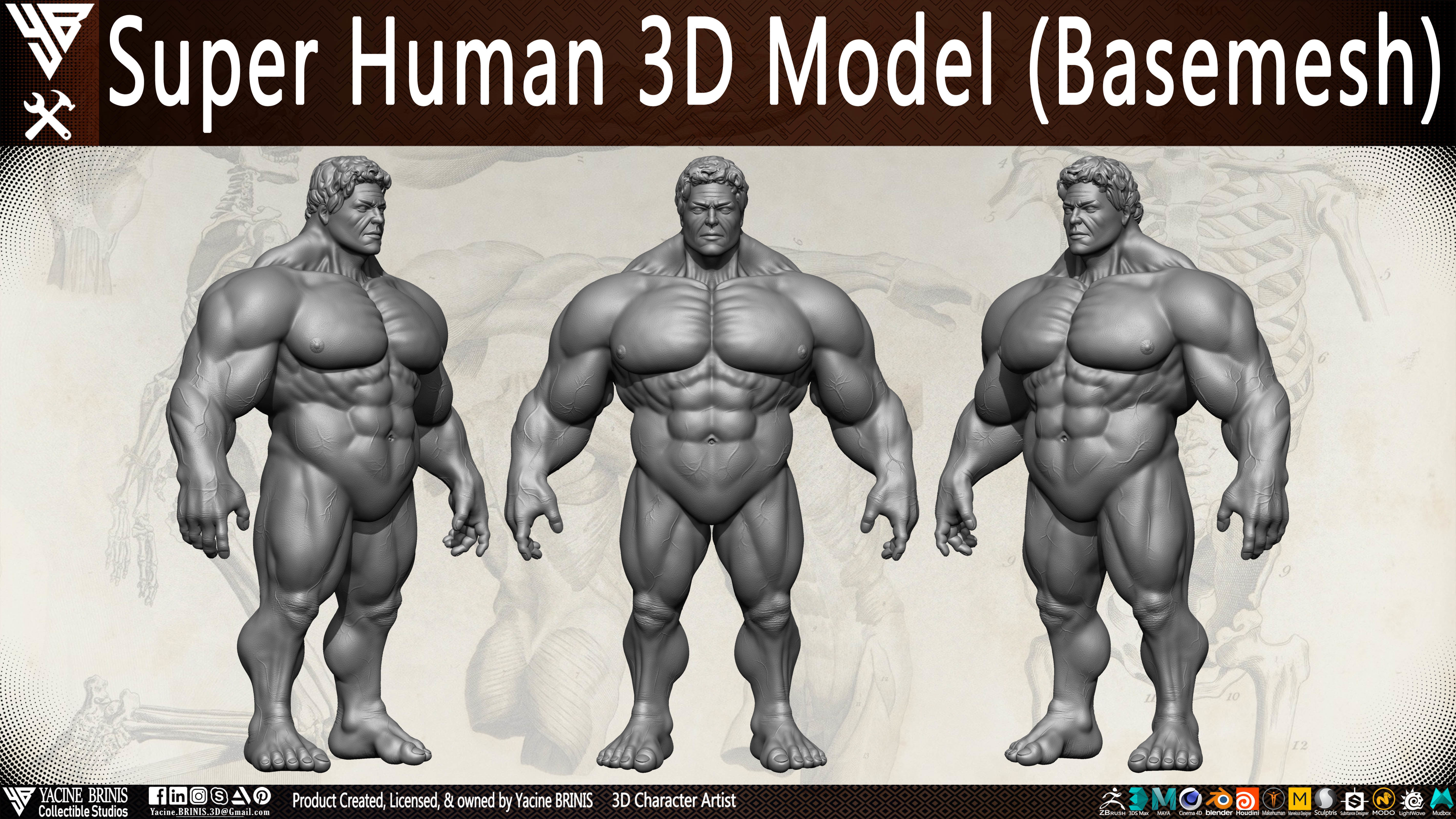 Super Human Base-mesh 3D Model Low-poly 3D model_12