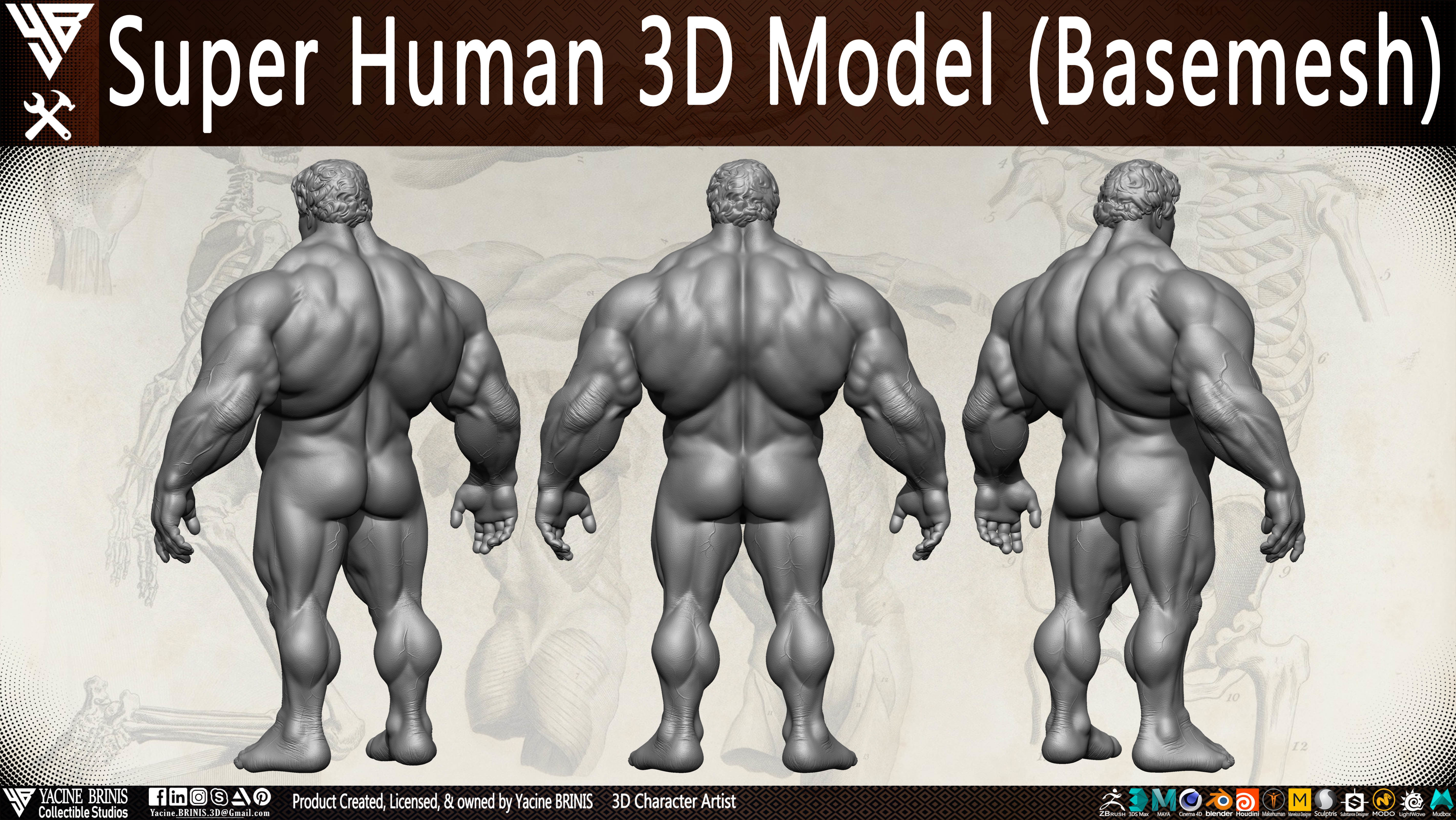 Super Human Base-mesh 3D Model Low-poly 3D model_14