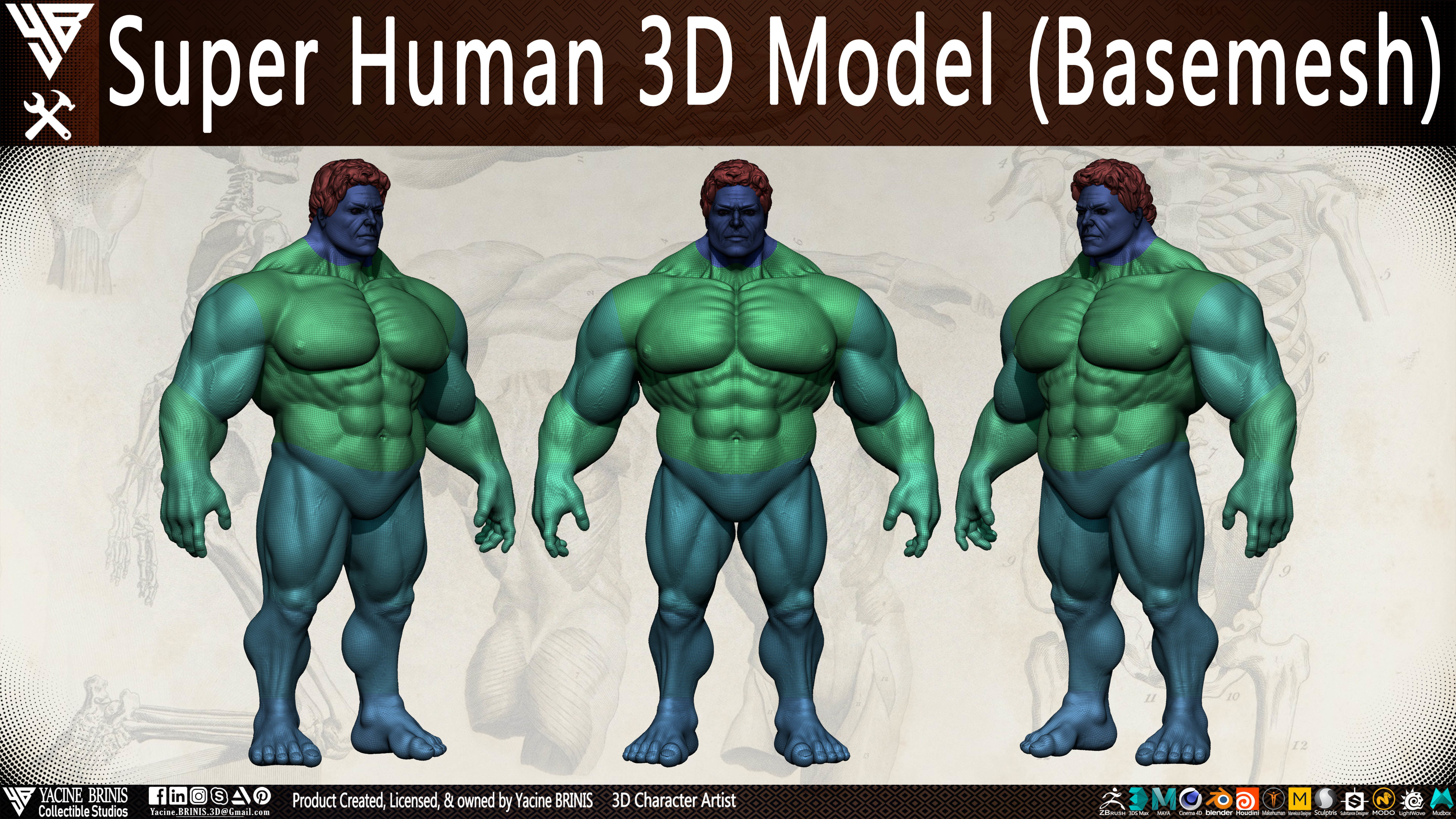 Super Human Base-mesh 3D Model Low-poly 3D model_17