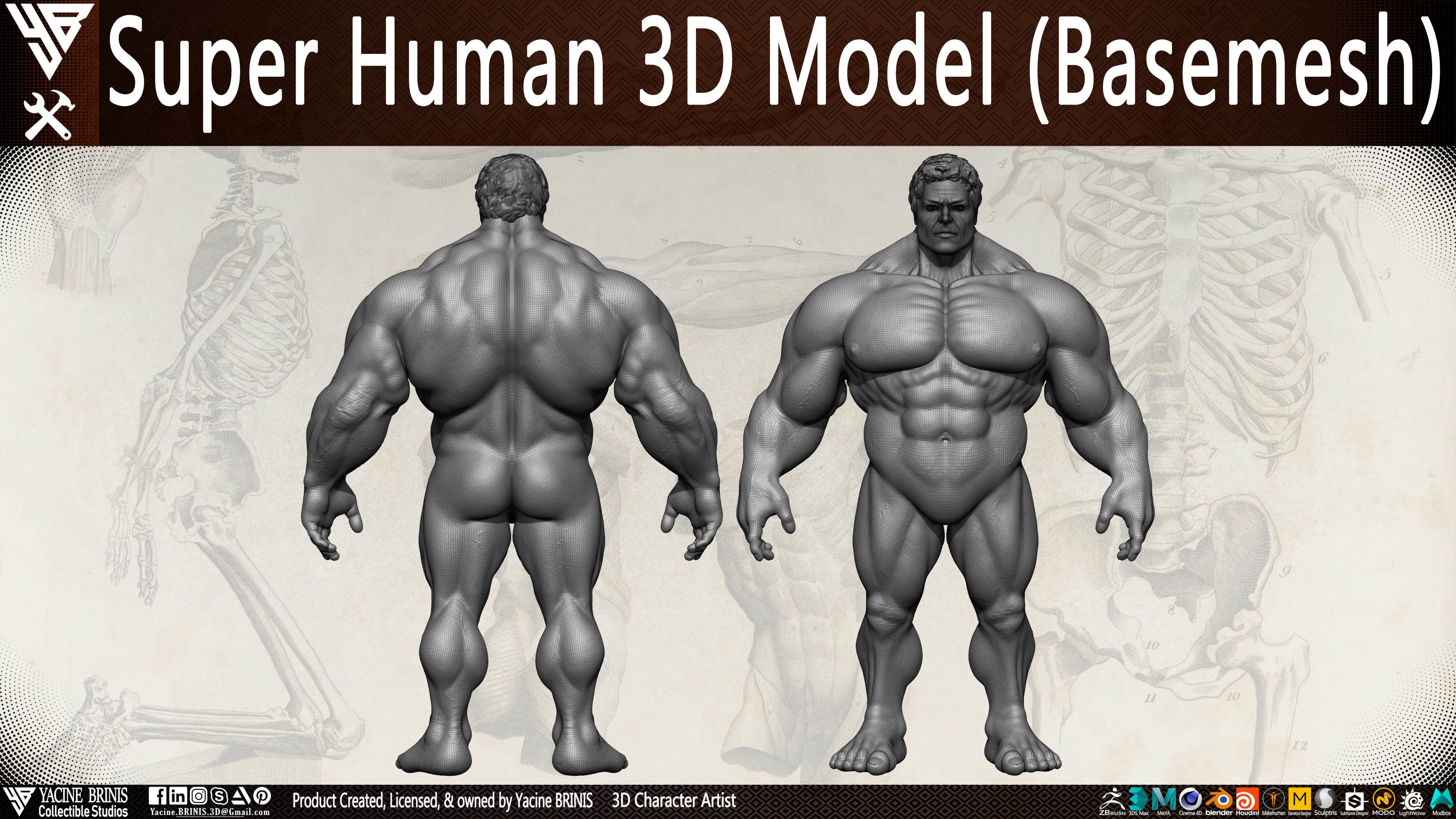Super Human Base-mesh 3D Model Low-poly 3D model_20