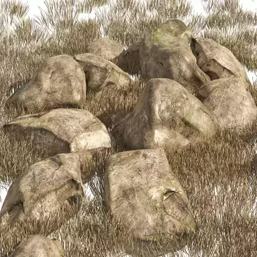 Granite Rock Stones with Dry Grass Terrain 3D model
