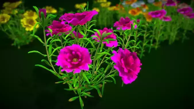 Flower Moss Rose Low-poly 3D model