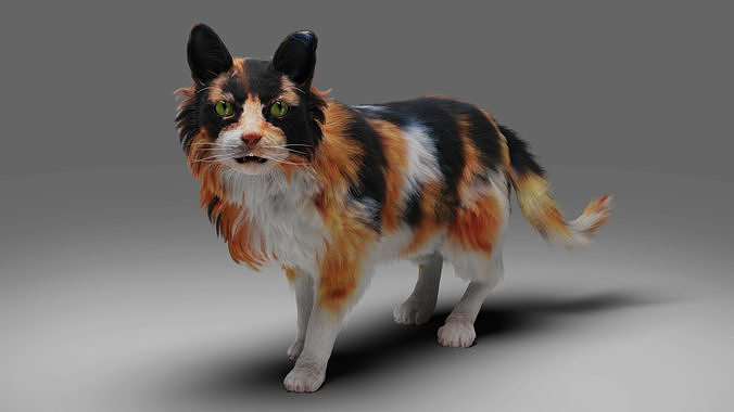 Fur Calico Cat V04 Rigged Low-poly 3D model