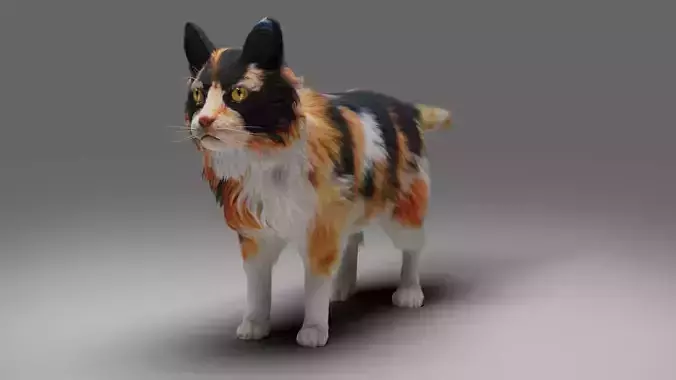 Fur Calico Cat V04 No Rigged