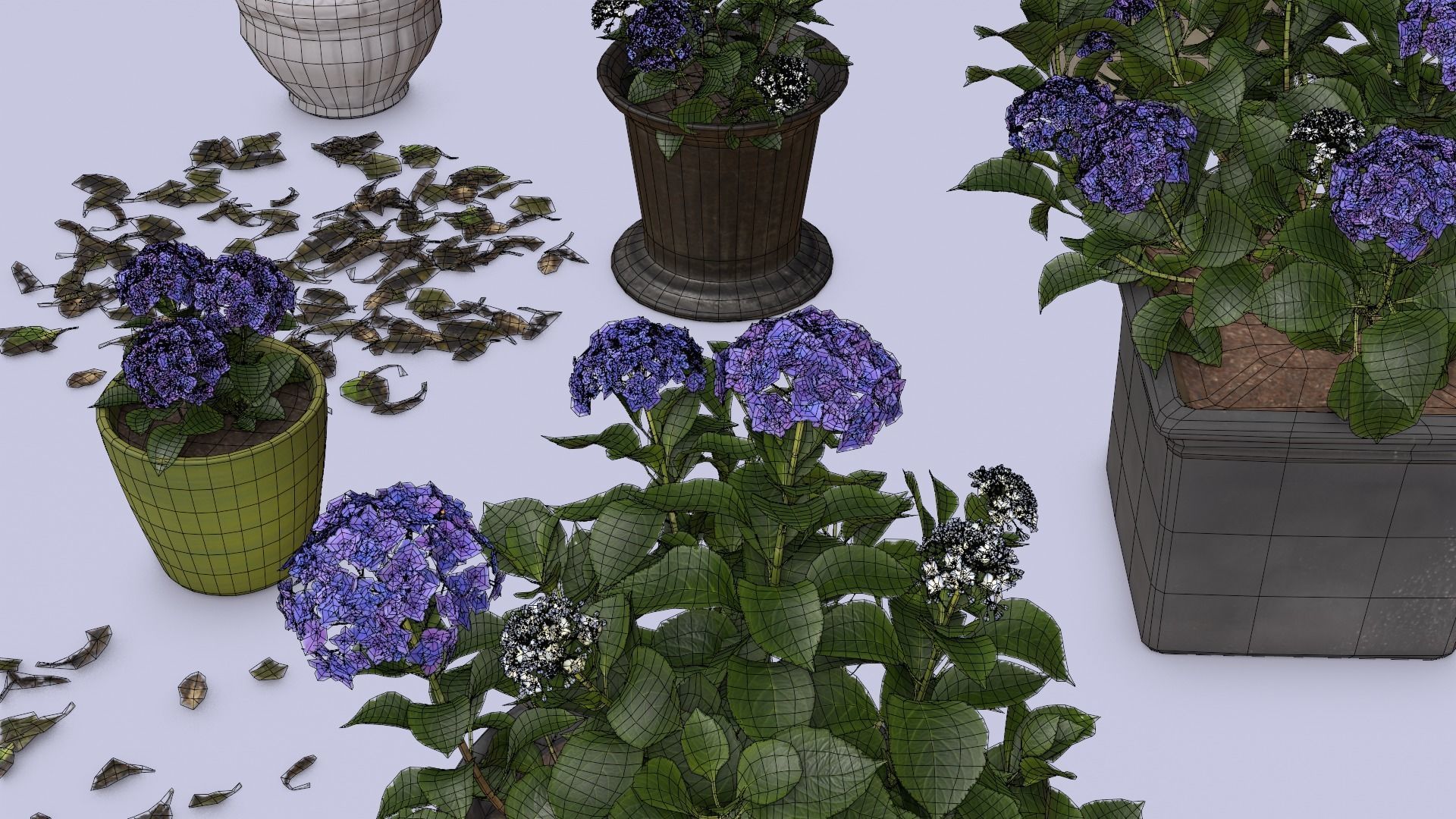 Flowers Bigleaf Hydrangea in Pots for Archivis Low-poly 3D model_11
