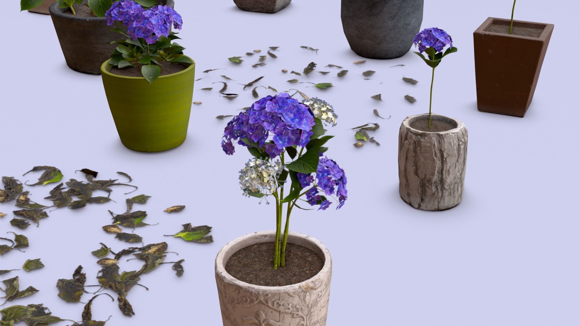 Flowers Bigleaf Hydrangea in Pots for Archivis Low-poly 3D model_8