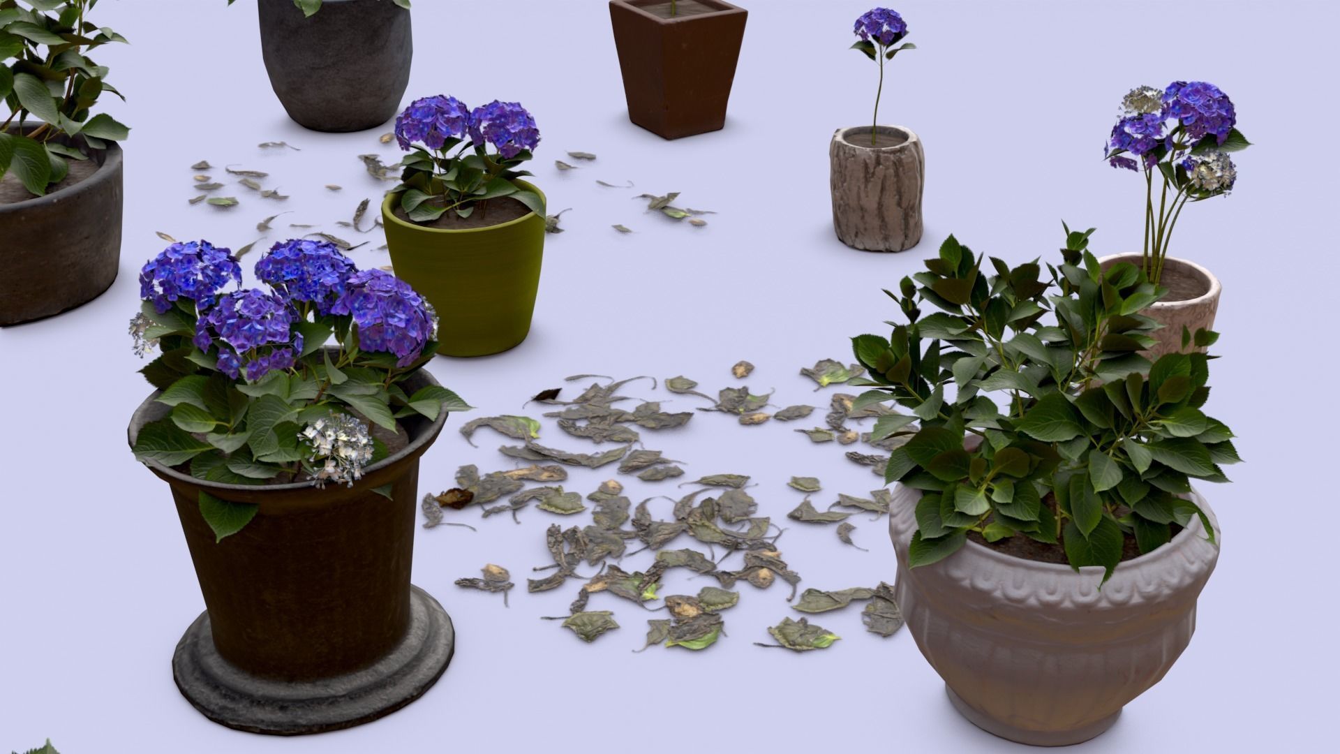 Flowers Bigleaf Hydrangea in Pots for Archivis Low-poly 3D model_7