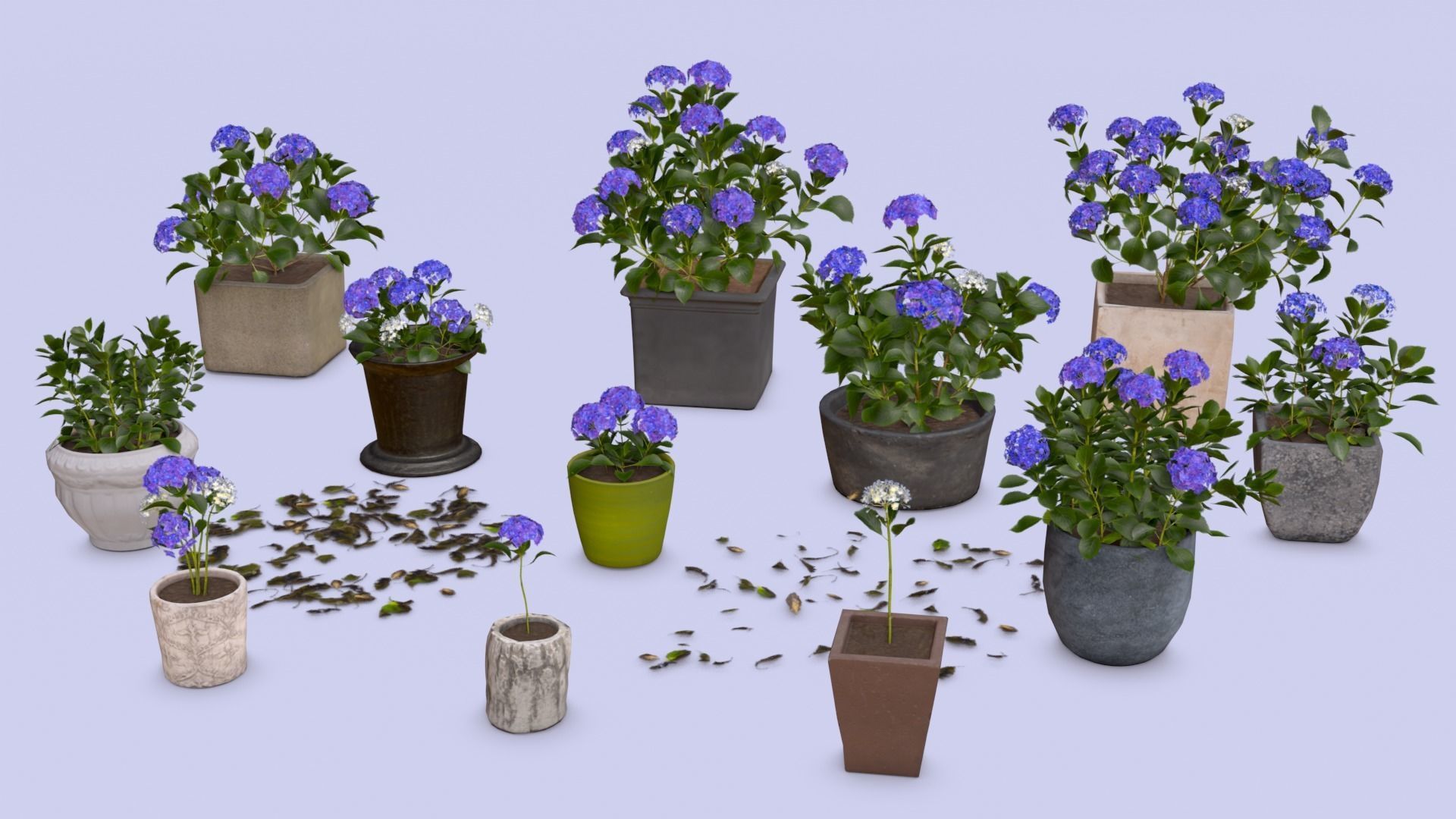 Flowers Bigleaf Hydrangea in Pots for Archivis Low-poly 3D model_1