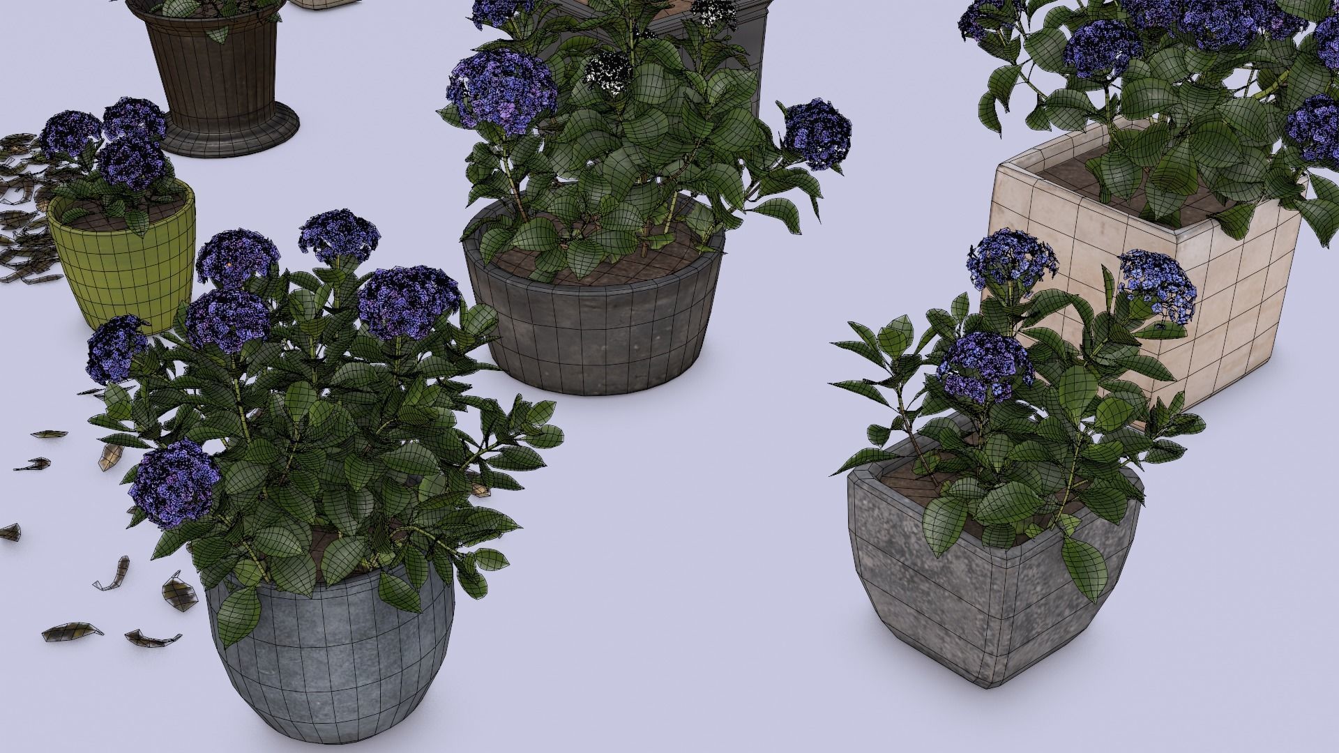 Flowers Bigleaf Hydrangea in Pots for Archivis Low-poly 3D model_10