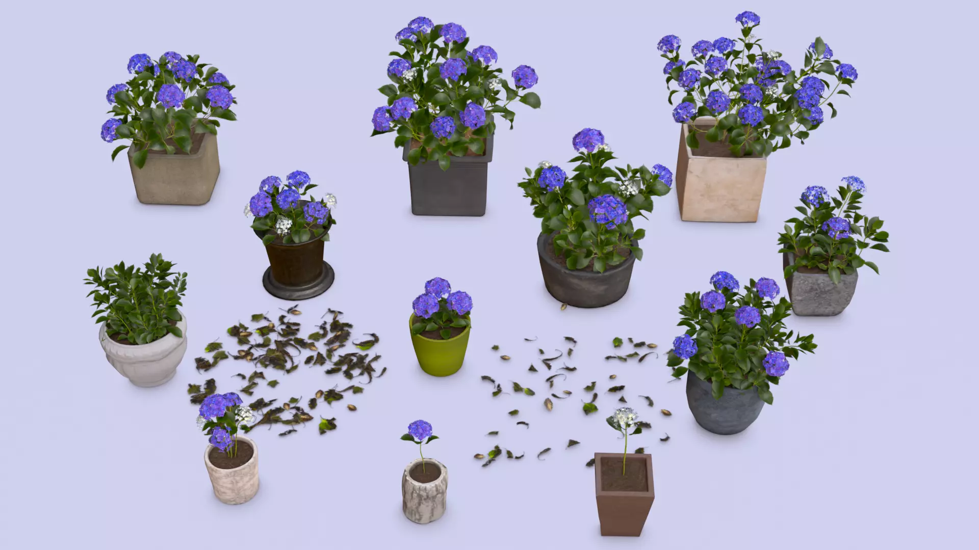Flowers Bigleaf Hydrangea in Pots for Archivis Low-poly 3D model_0