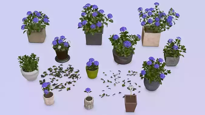 Flowers Bigleaf Hydrangea in Pots for Archivis Low-poly 3D model