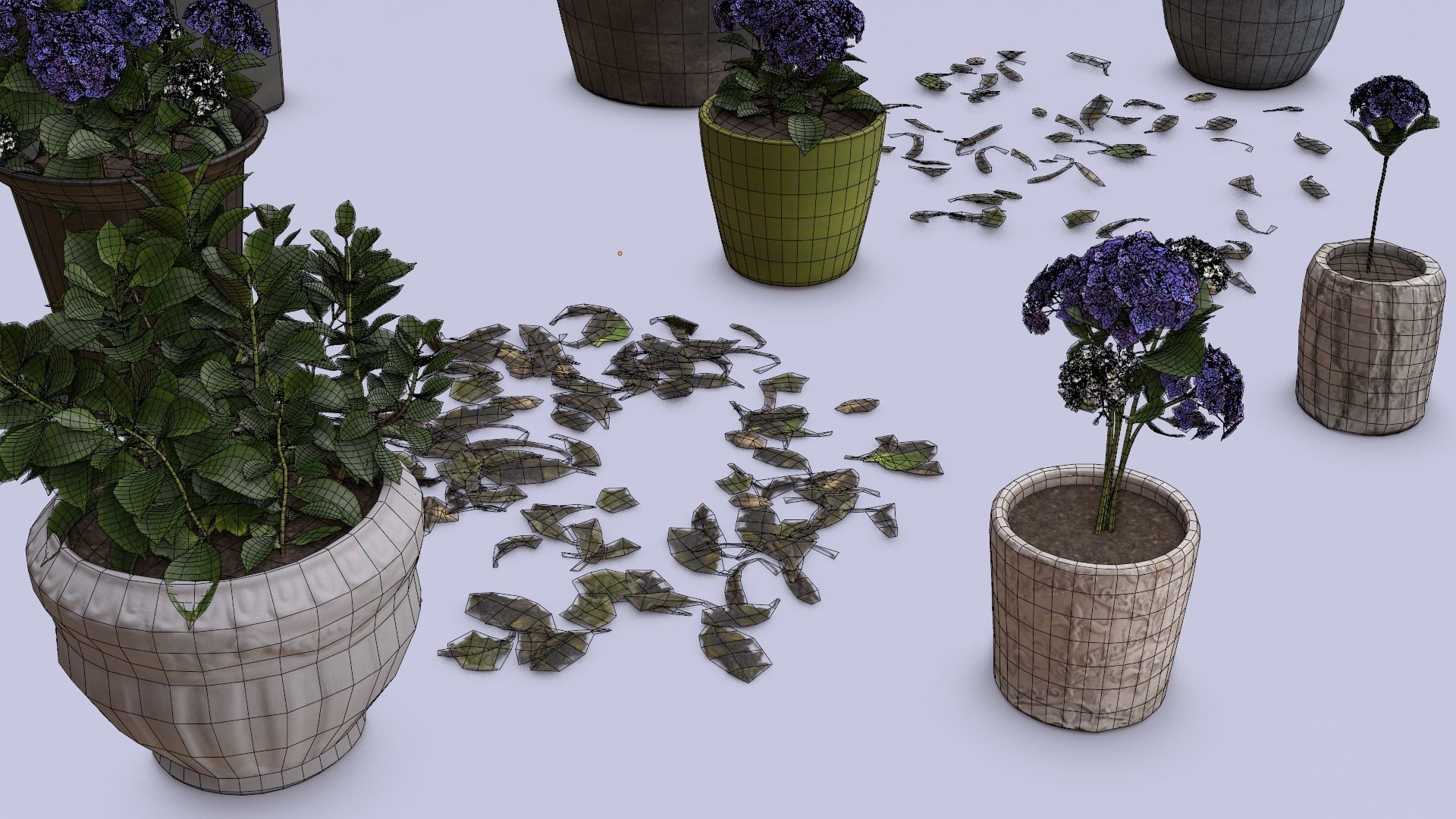 Flowers Bigleaf Hydrangea in Pots for Archivis Low-poly 3D model_9