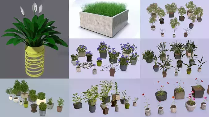 Flowers Trees Plants in Pots 3D Model Collection
