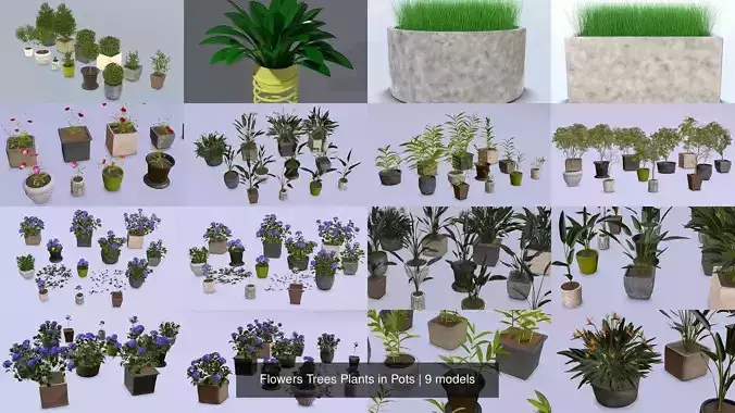 Flowers Trees Plants in Pots