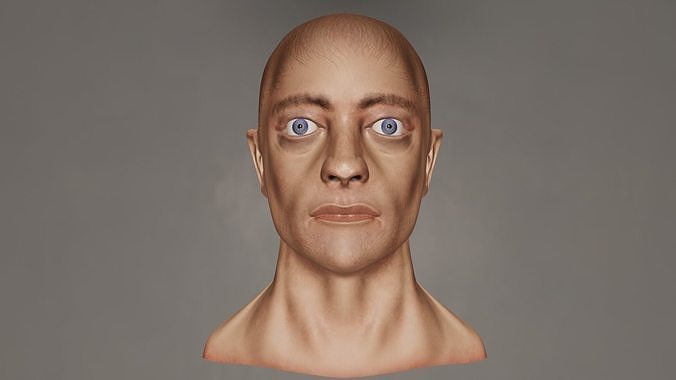 Male Head 3D model