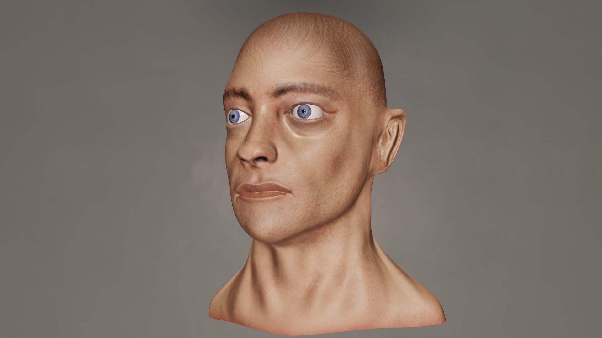 Male Head 3D model_4