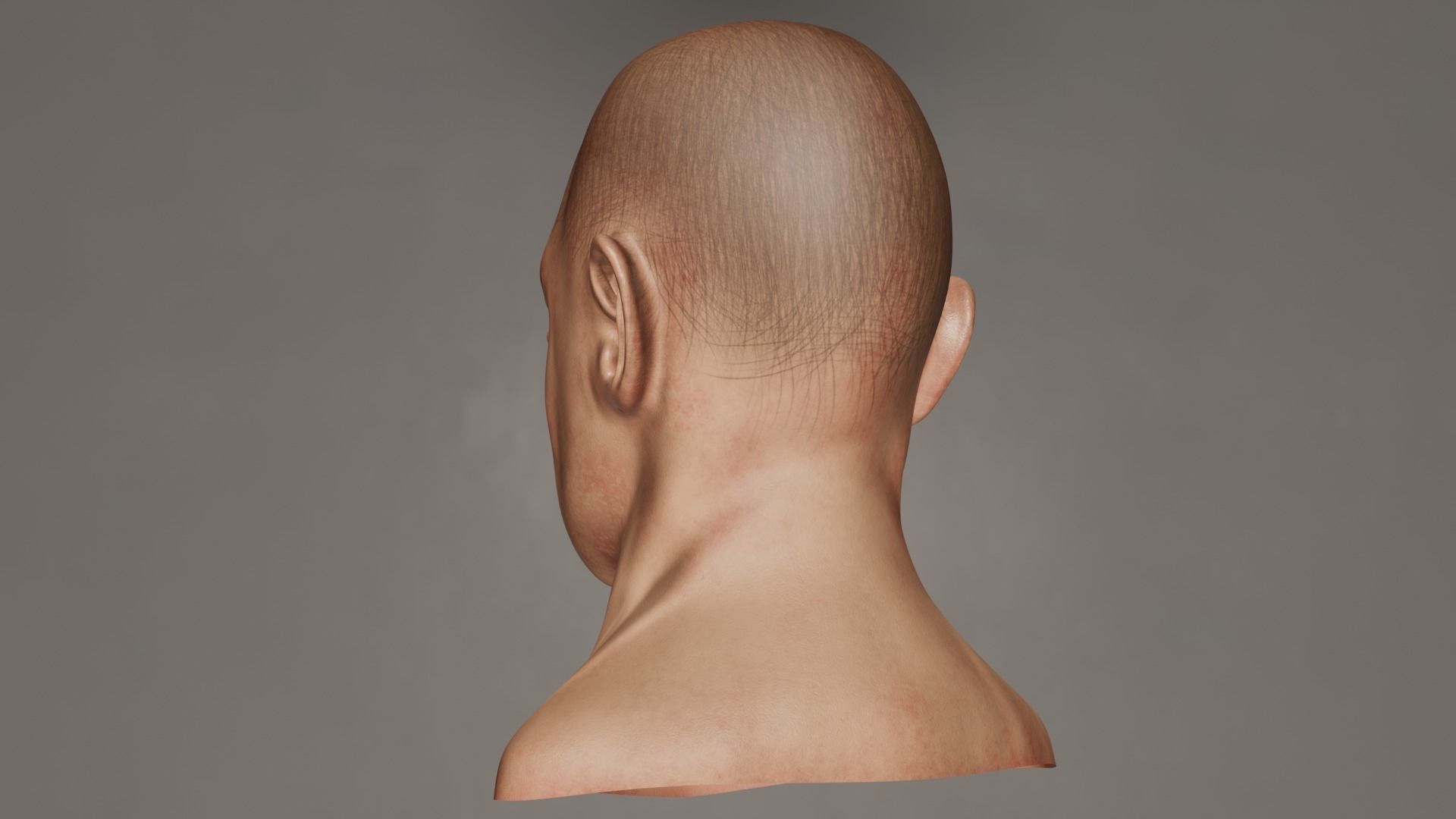 Male Head 3D model_19