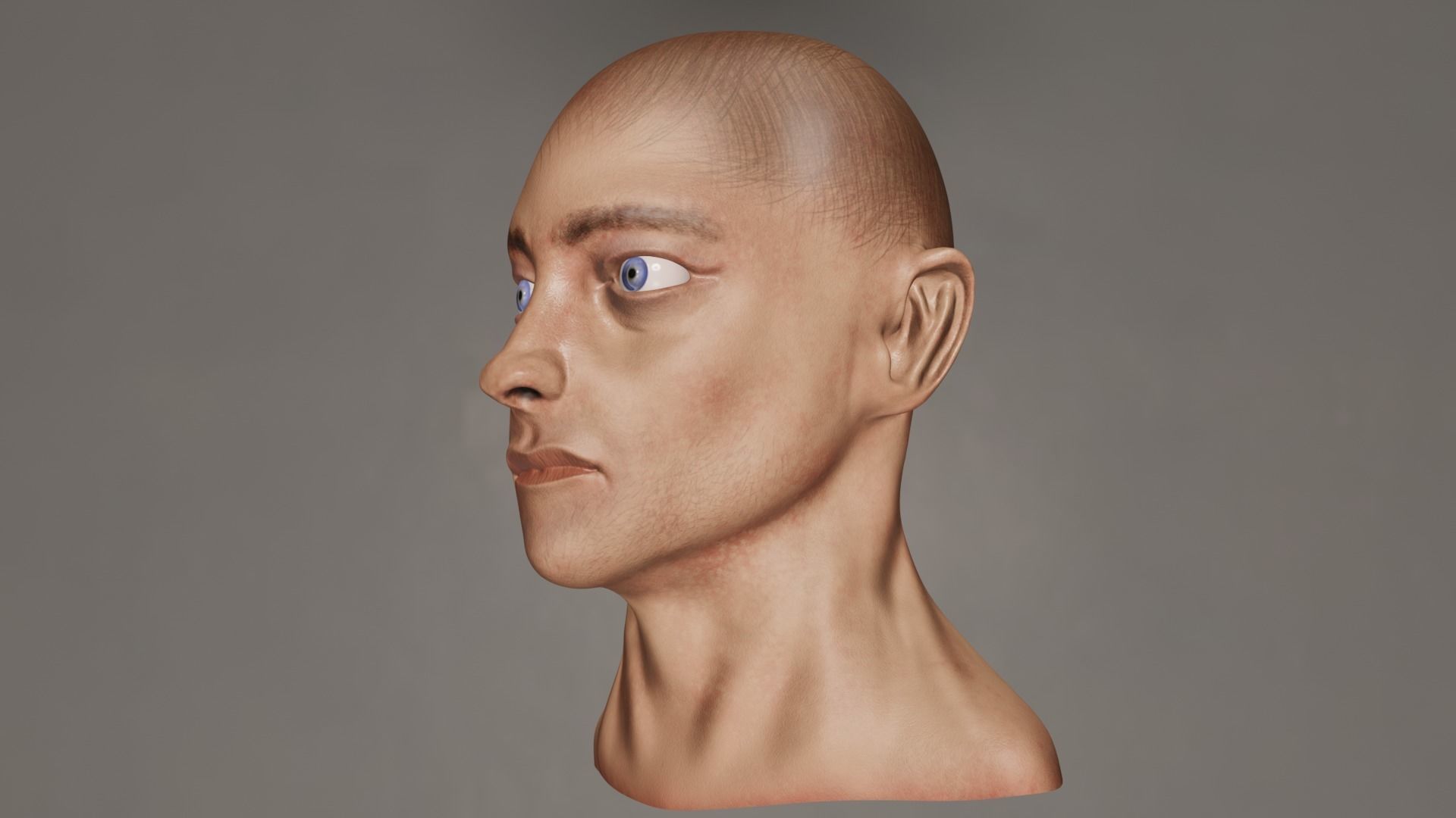 Male Head 3D model_7