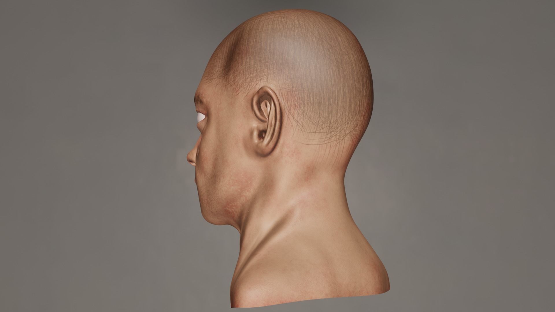 Male Head 3D model_16