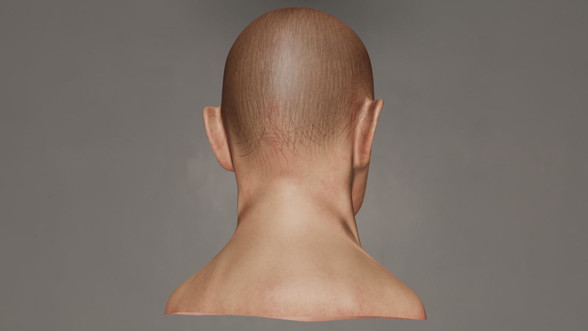 Male Head 3D model_24