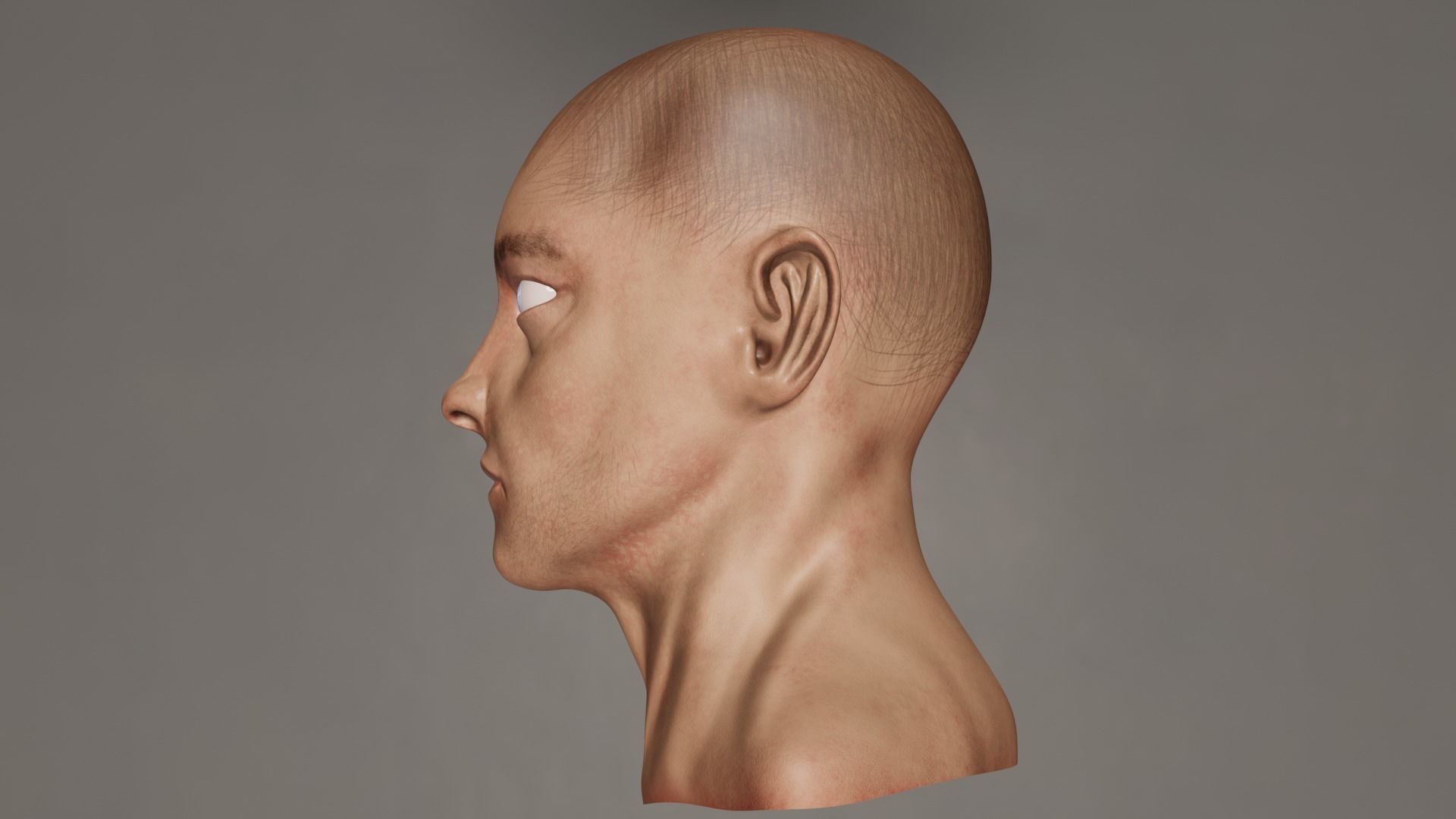 Male Head 3D model_13