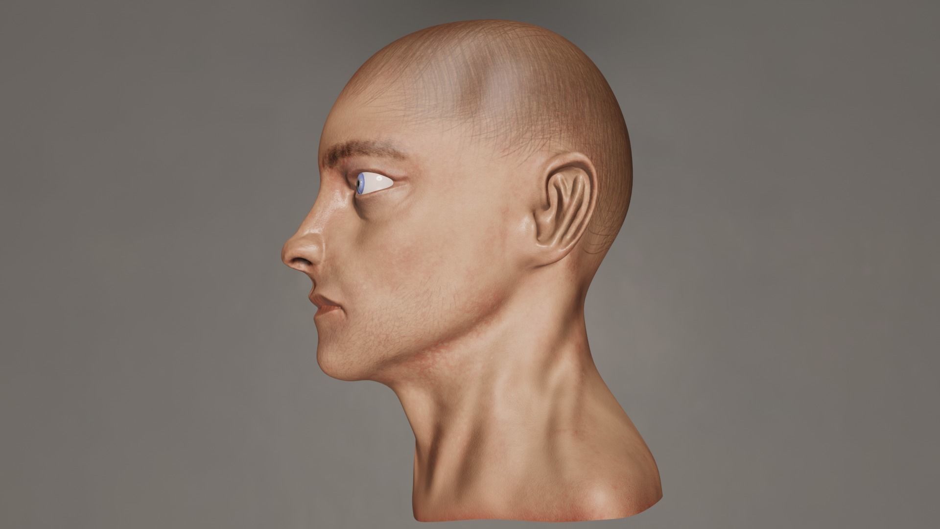 Male Head 3D model_10