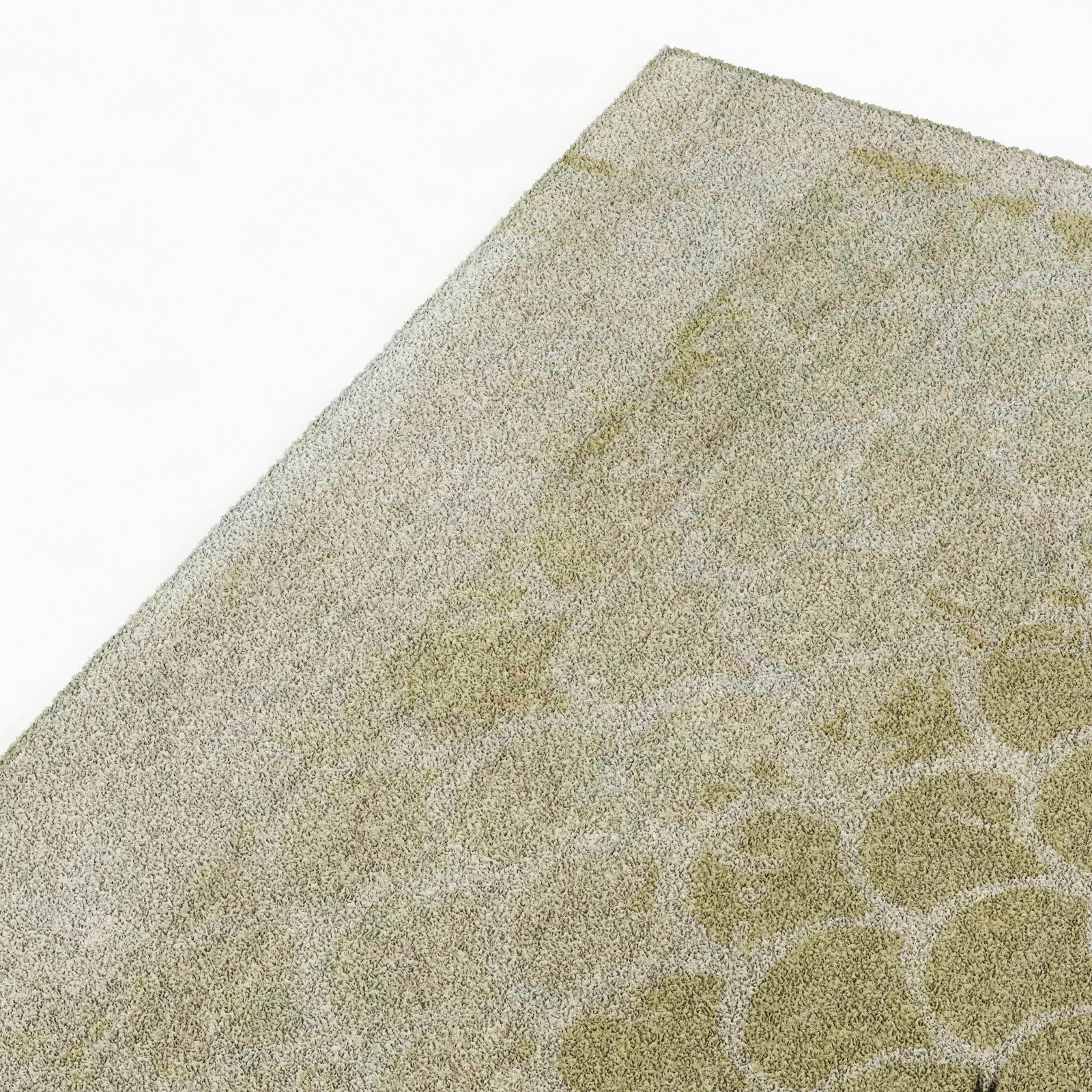 Brabbu KOI RUG 3D model_2