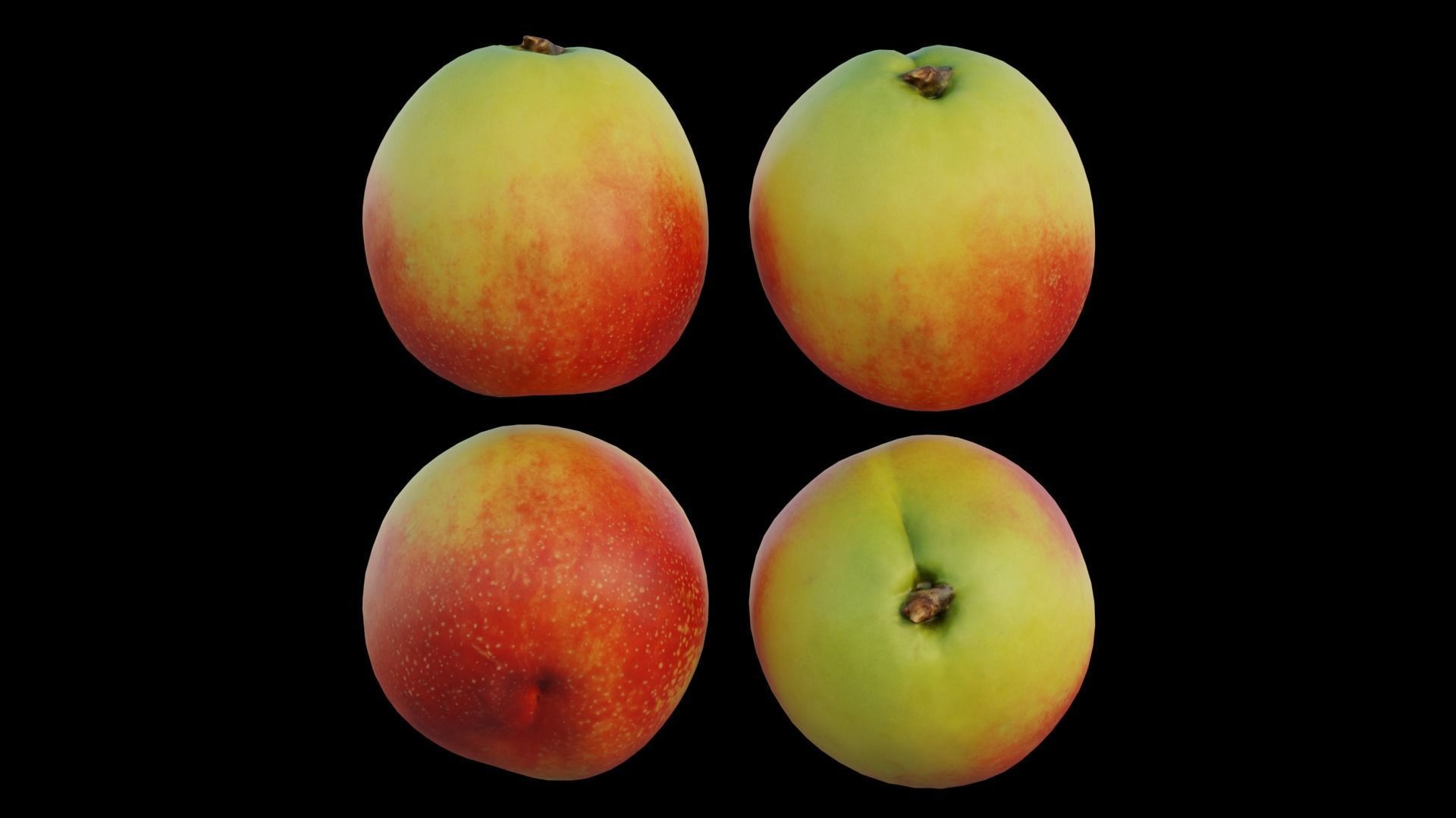 peach 09 3D model_11