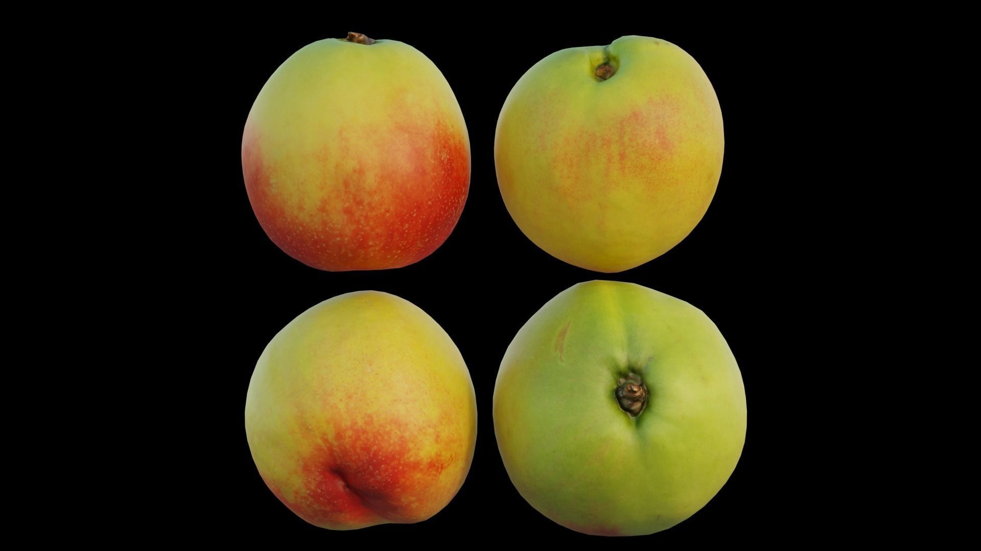 peach 09 3D model_10